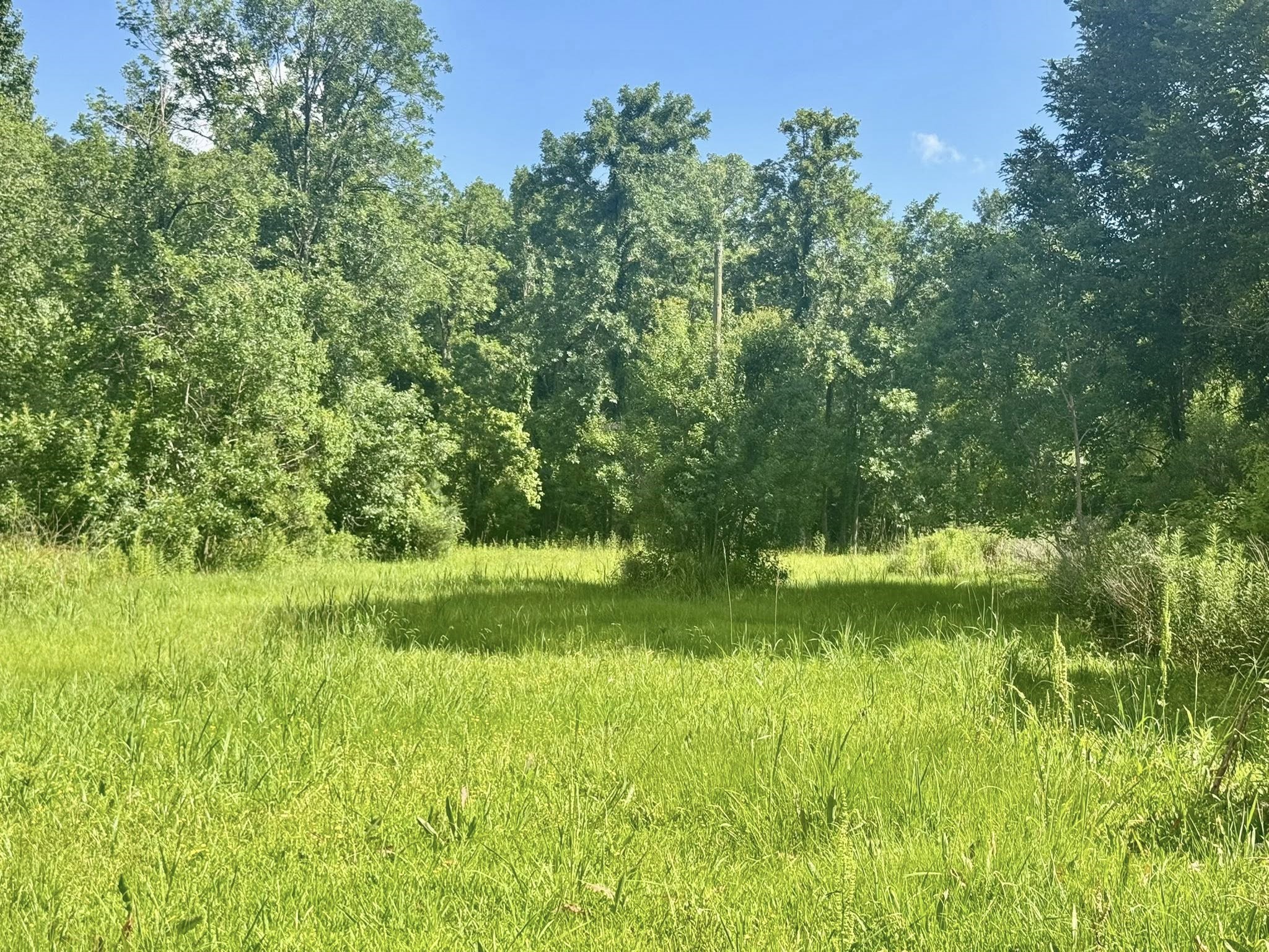 12530 Us Highway 190 E Property Photo 9