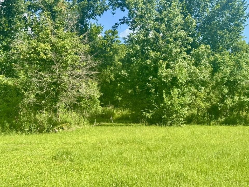 12530 Us Highway 190 E Property Photo 12