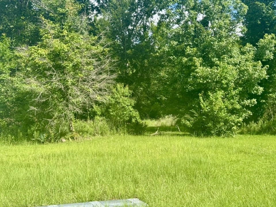 12530 Us Highway 190 E Property Photo 15
