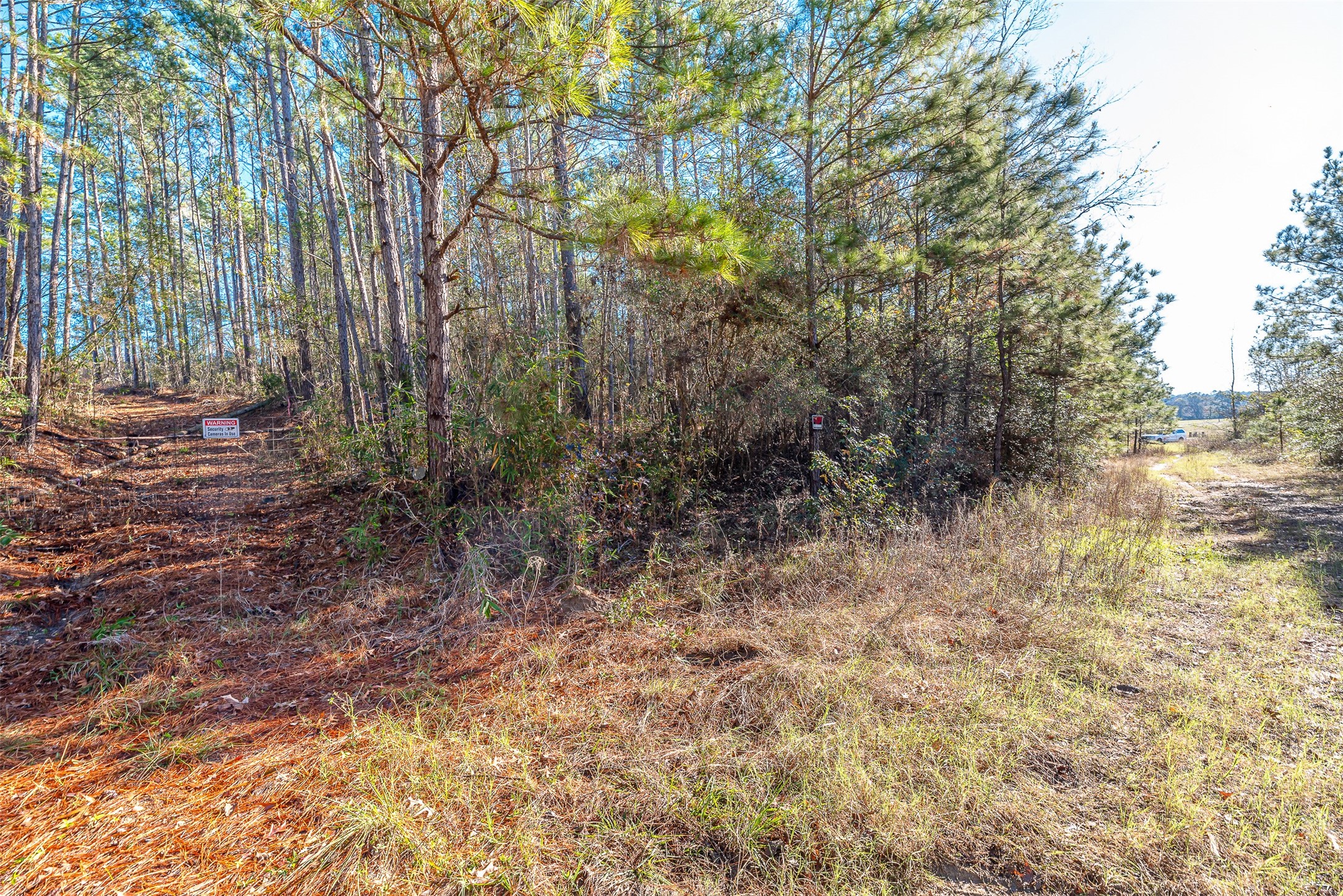 898 Taylor Lake Road Property Photo 7