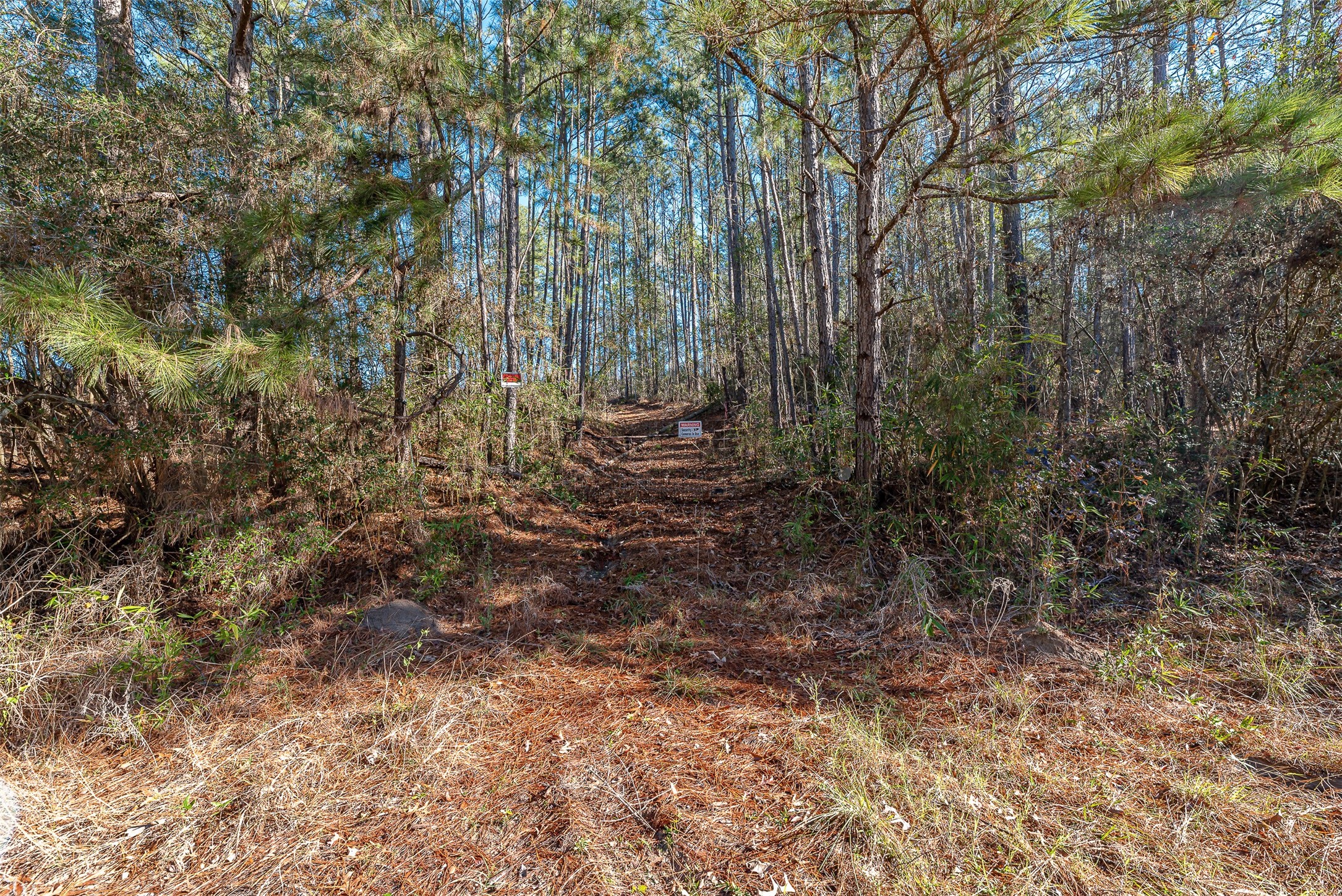 898 Taylor Lake Road Property Photo 8