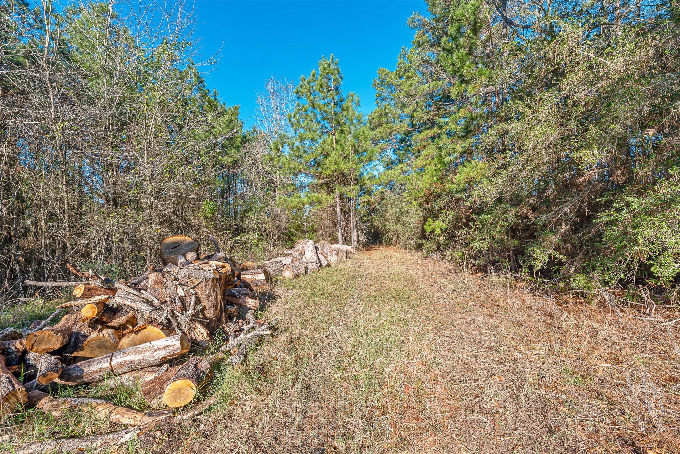 898 Taylor Lake Road Property Photo 9
