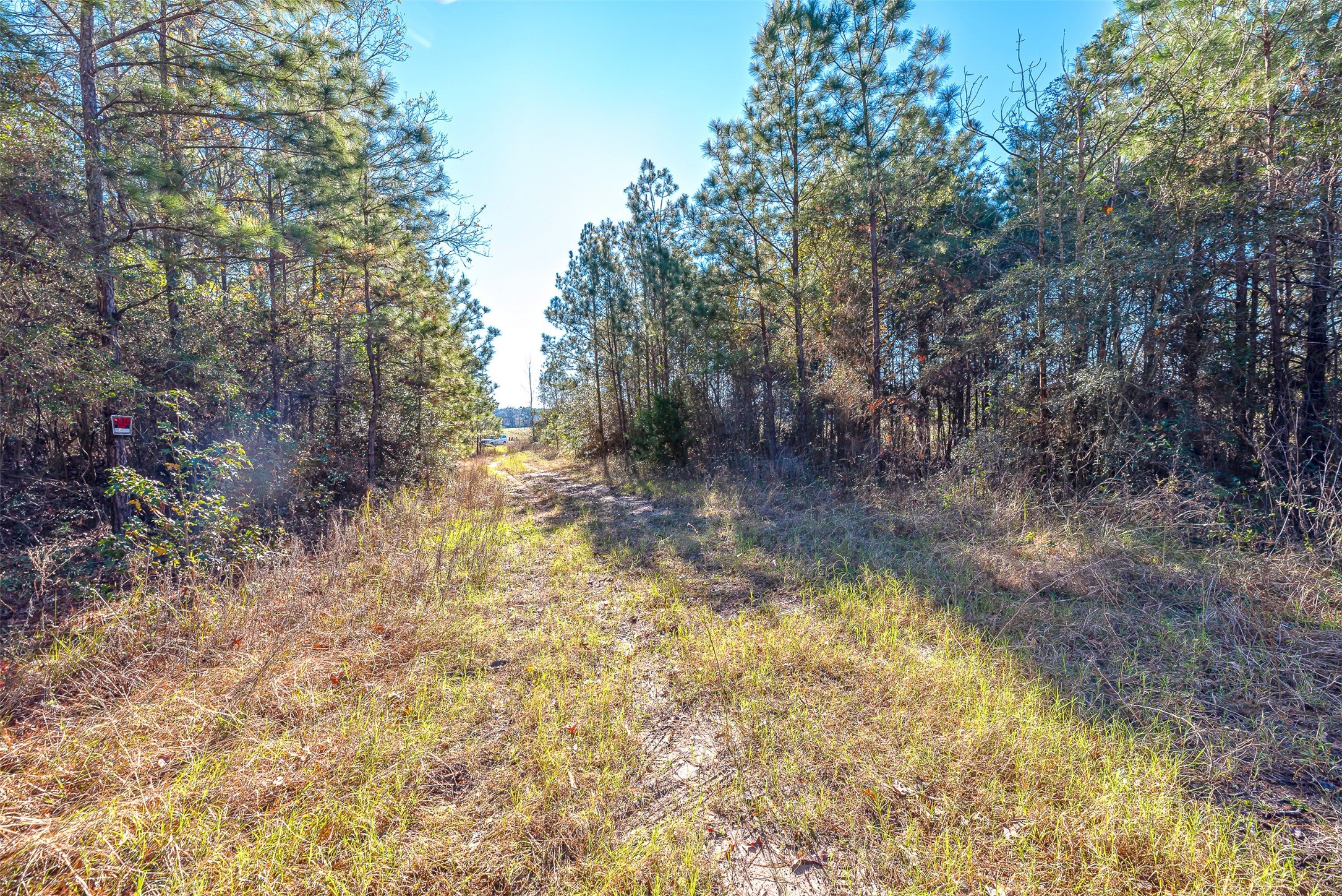 898 Taylor Lake Road Property Photo 10