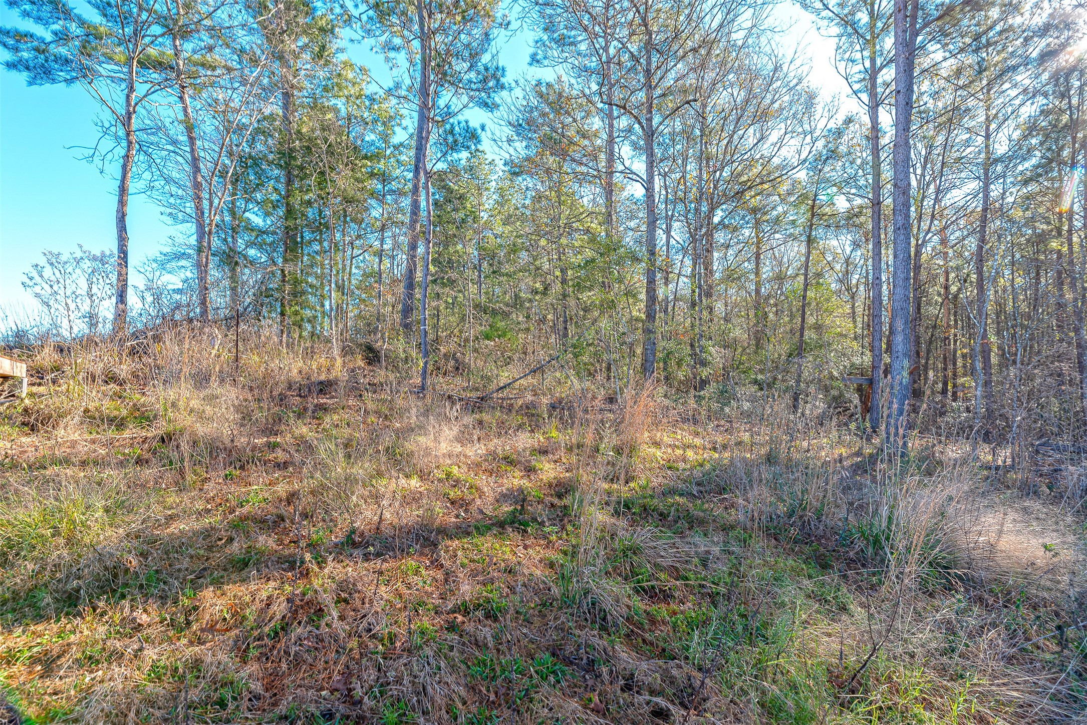 898 Taylor Lake Road Property Photo 11