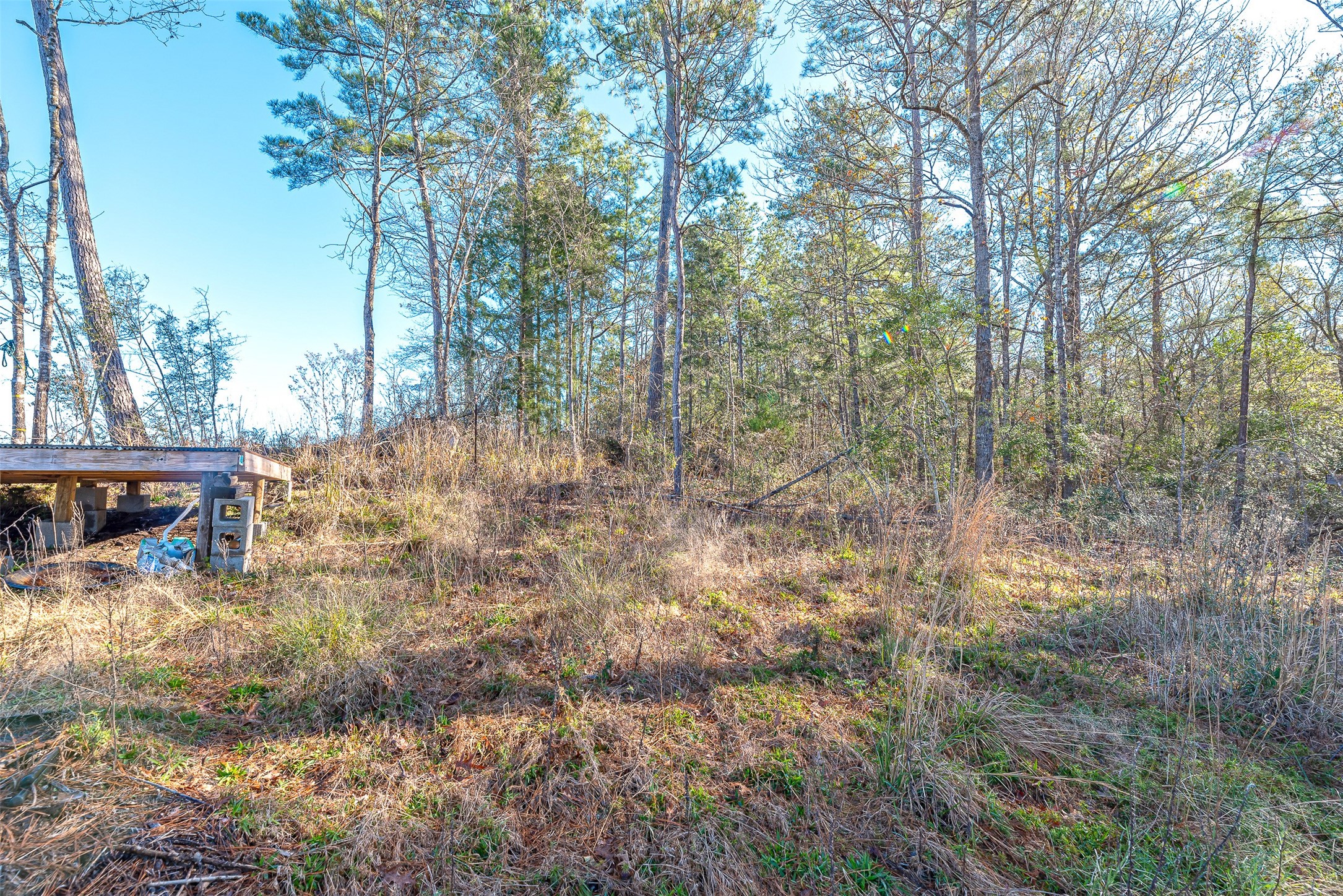 898 Taylor Lake Road Property Photo 12