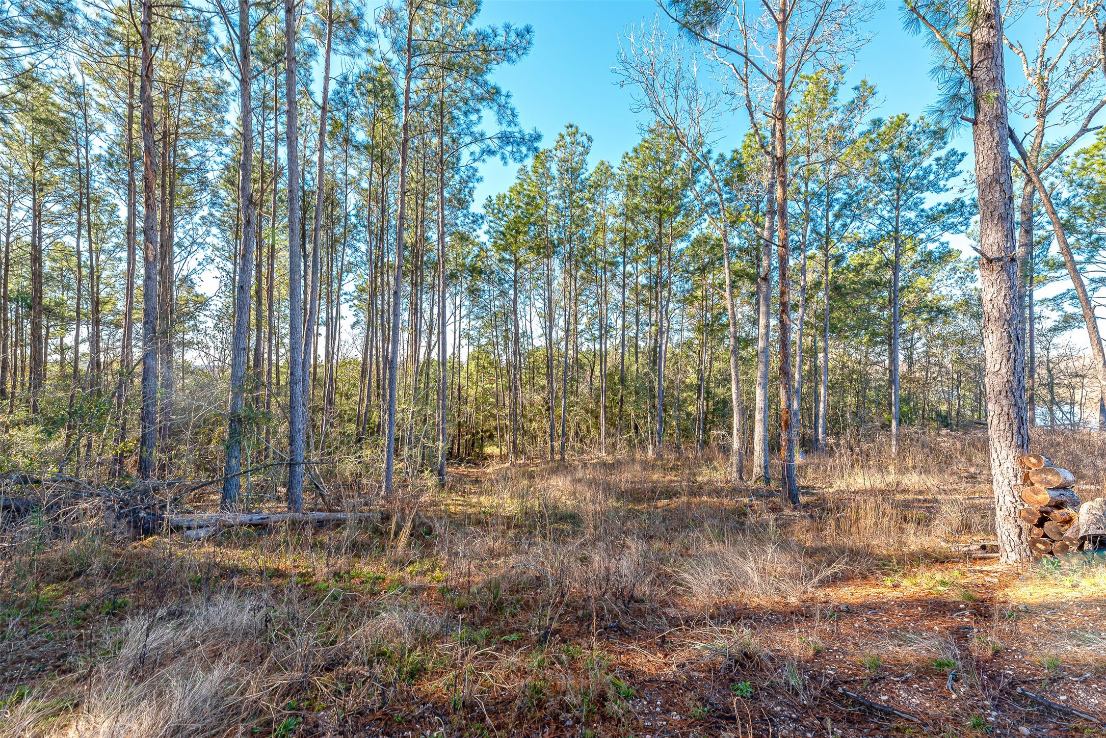 898 Taylor Lake Road Property Photo 13