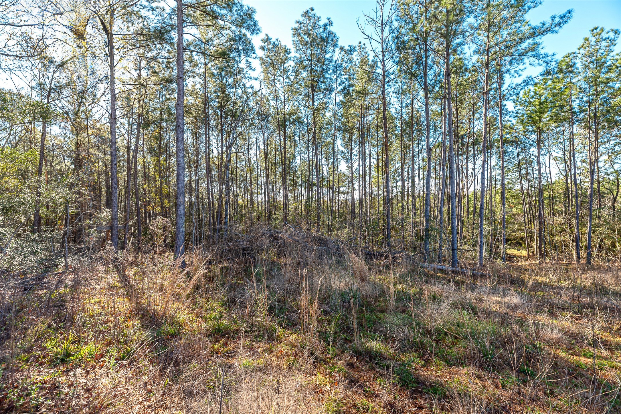 898 Taylor Lake Road Property Photo 14