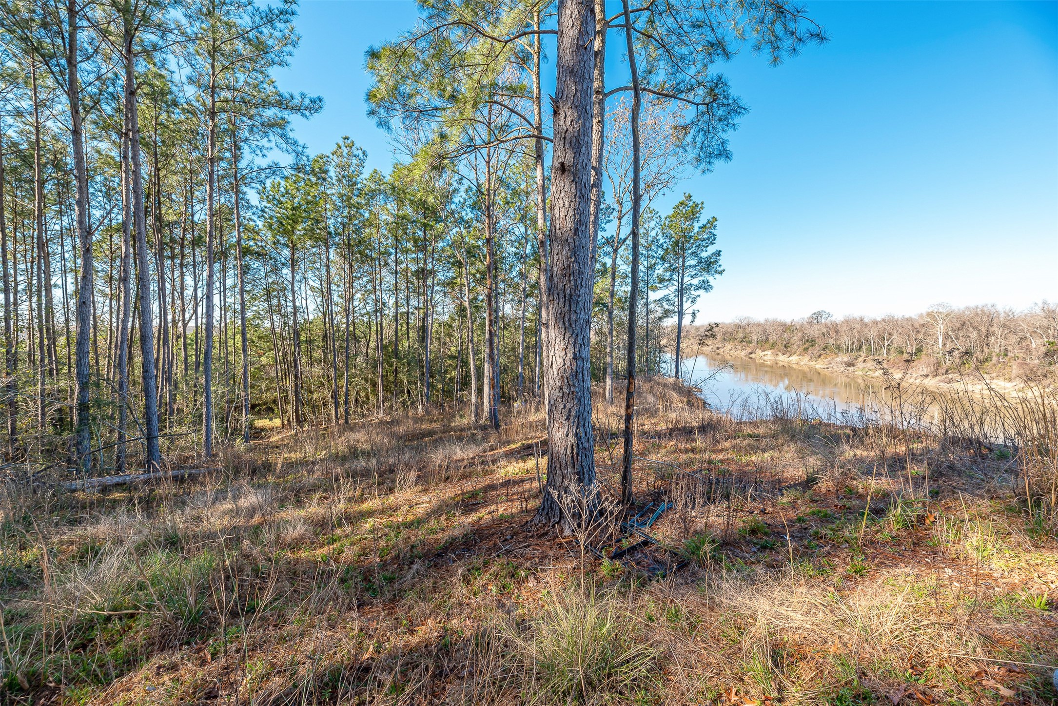 898 Taylor Lake Road Property Photo 15