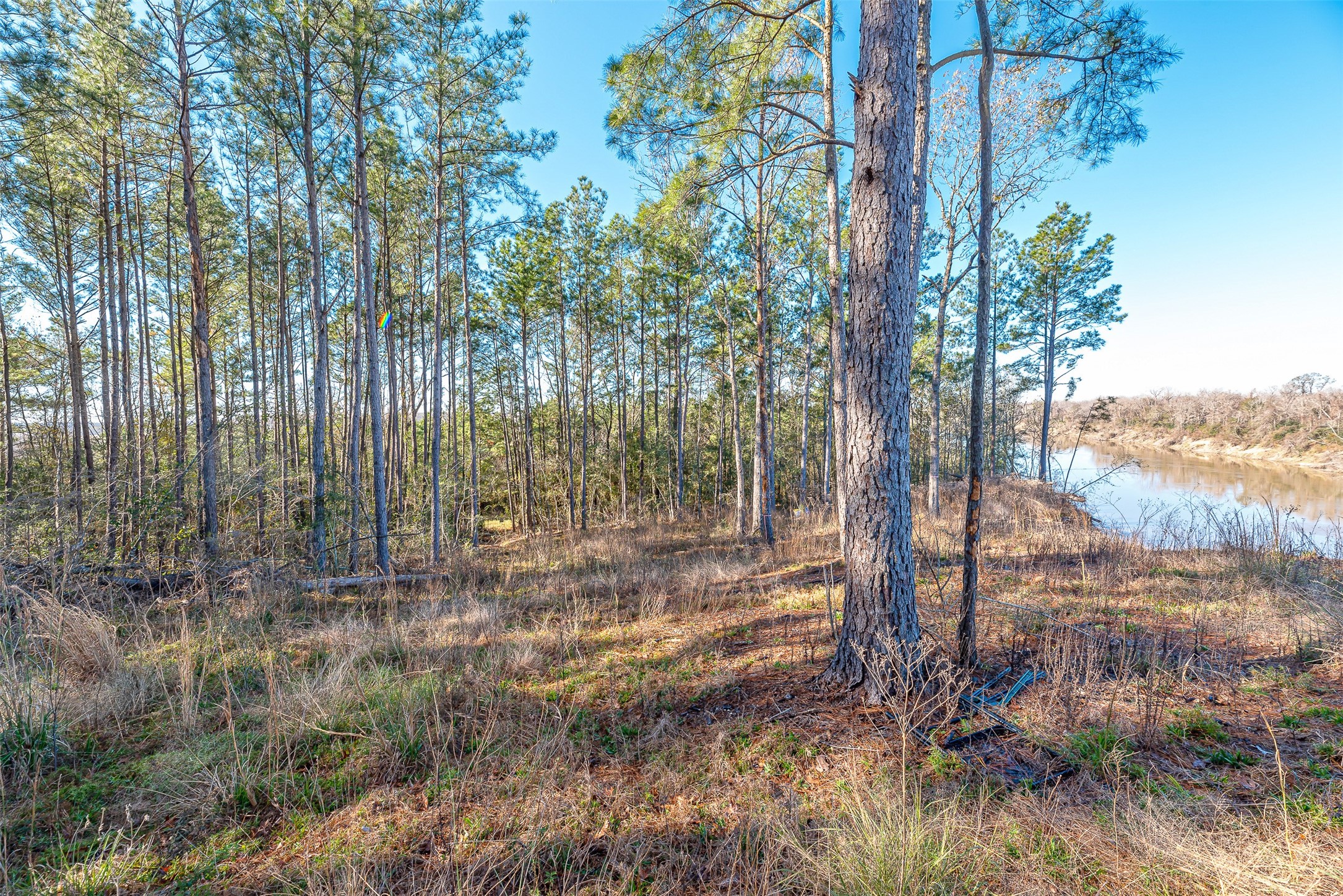 898 Taylor Lake Road Property Photo 16