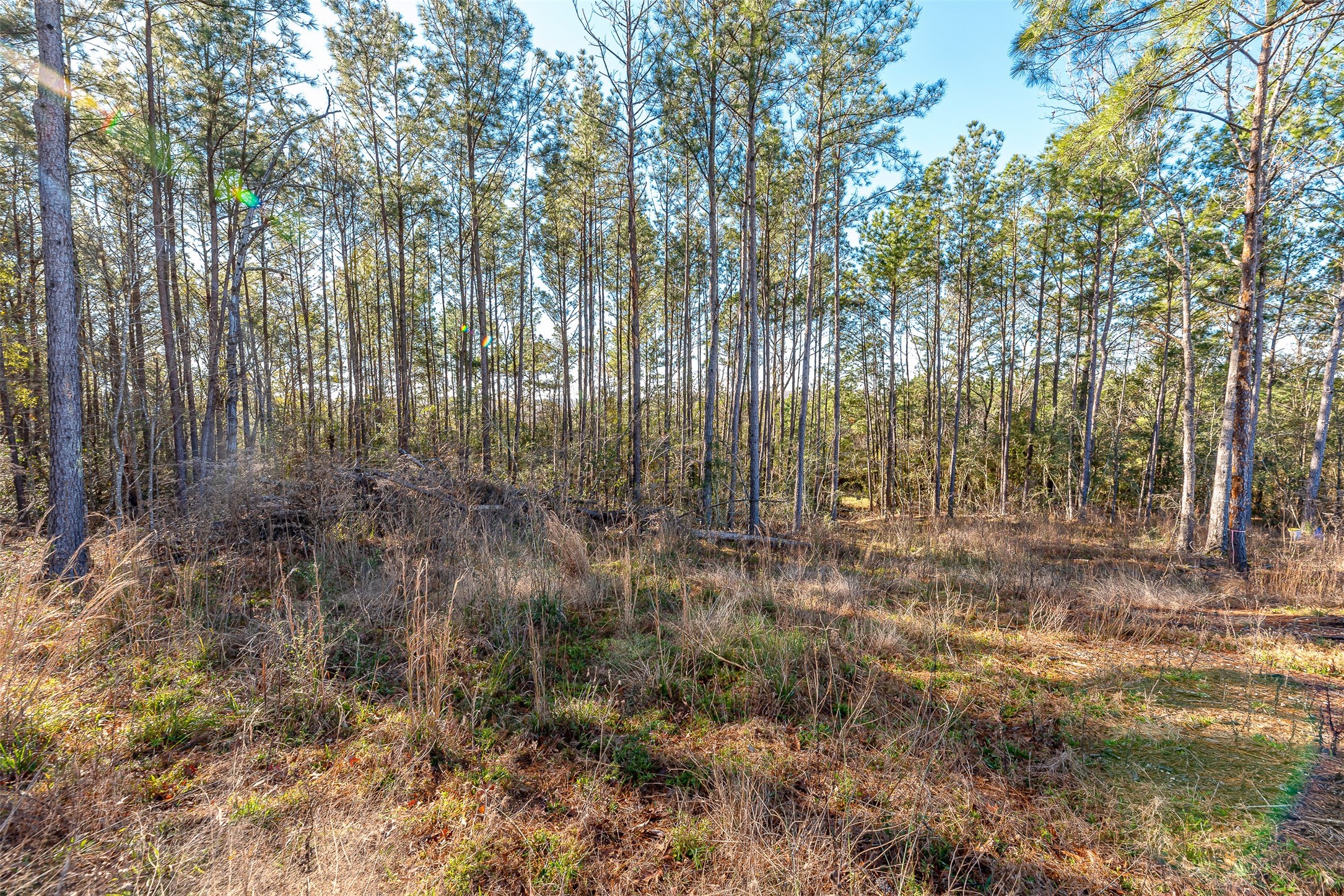 898 Taylor Lake Road Property Photo 17