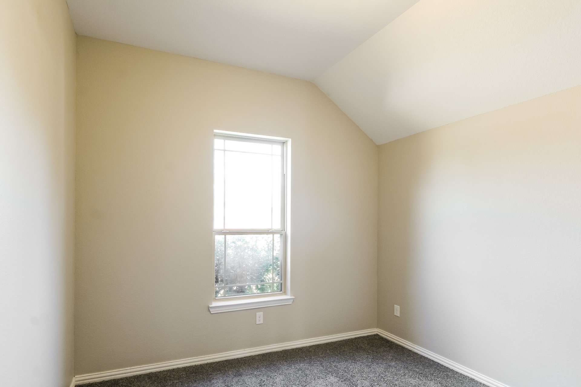 12519 Tamaron Drive Property Photo 14