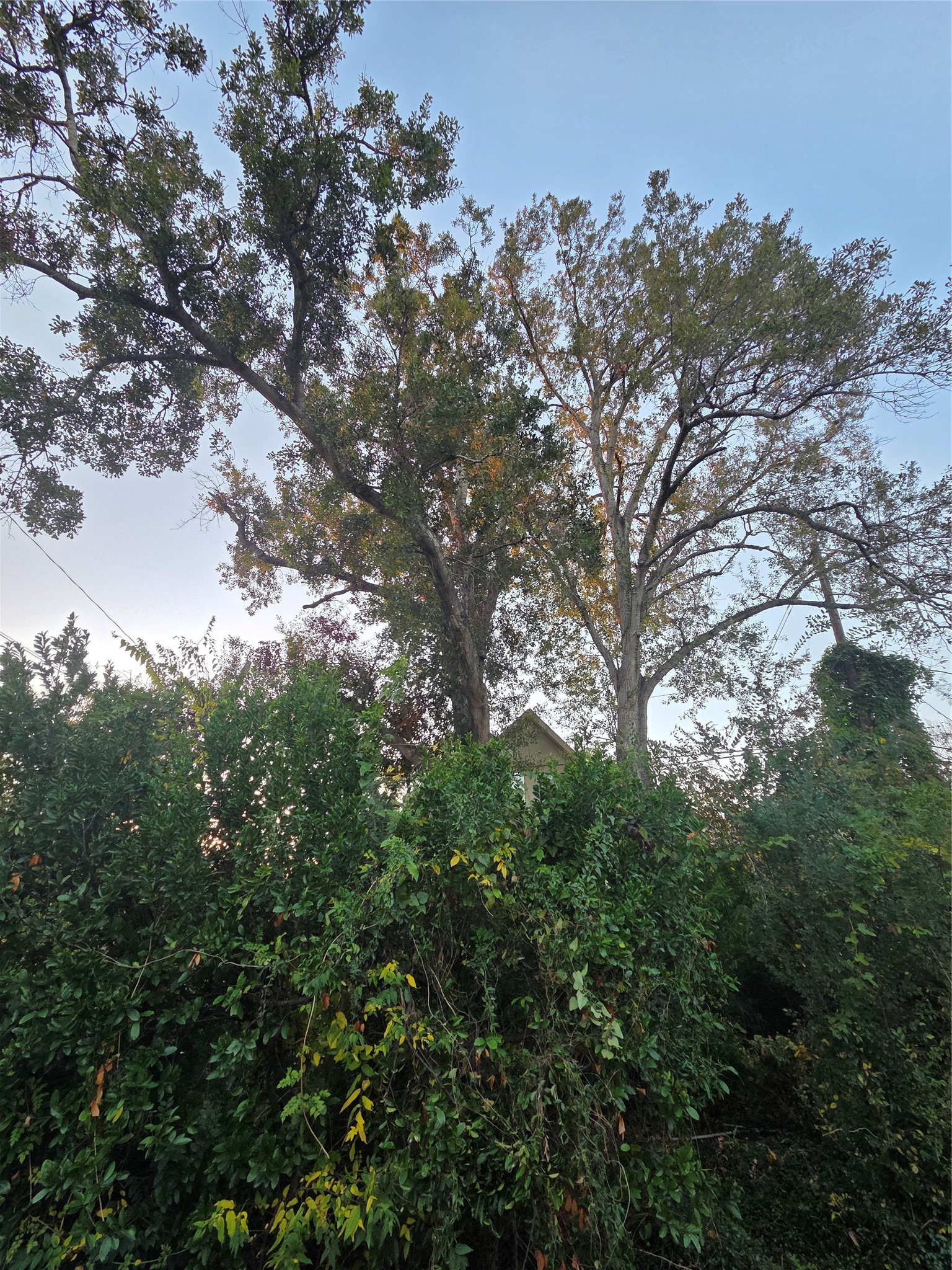 851 Jaquet Drive Property Photo 4