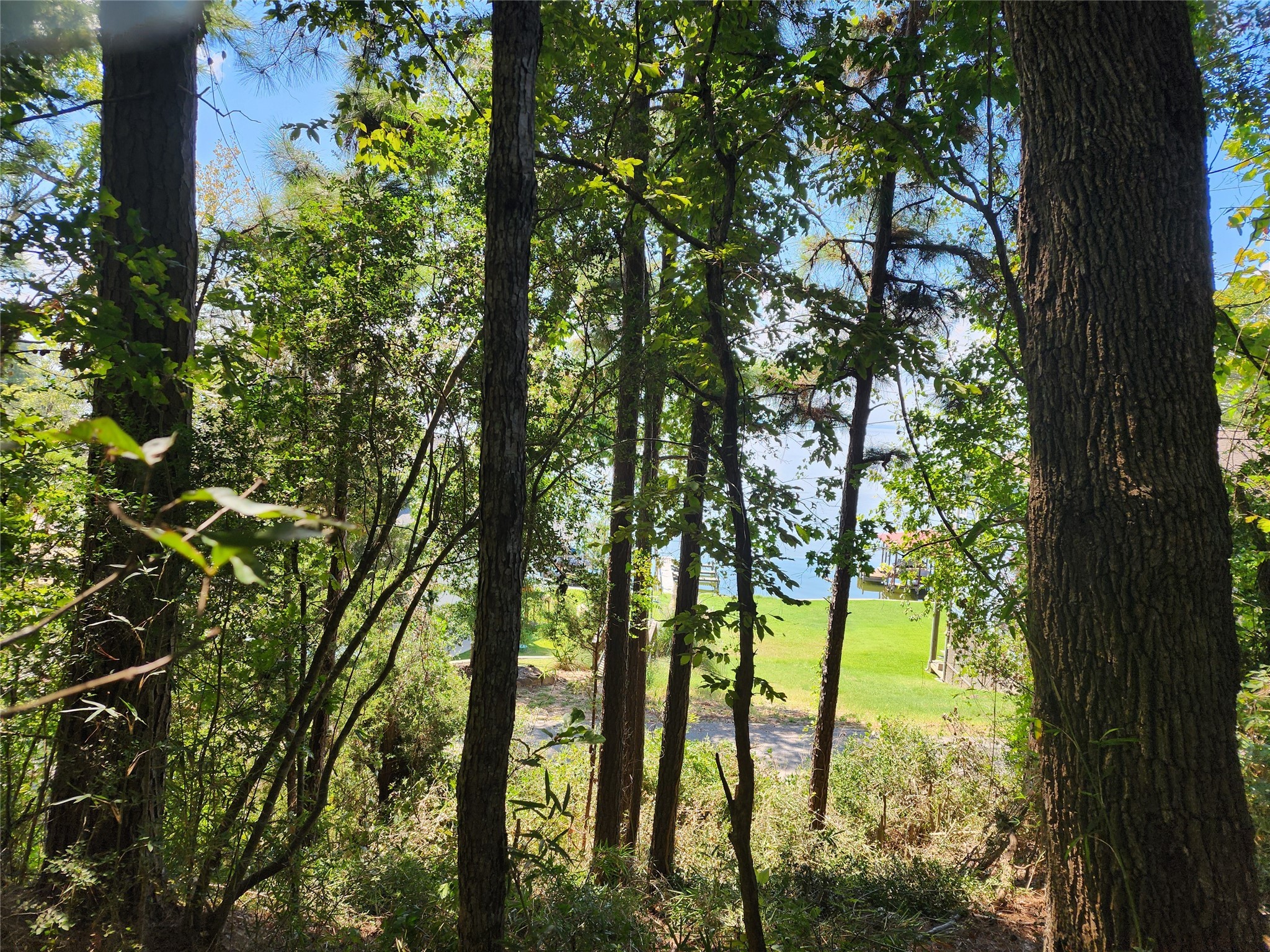 0 Cedar Lane Property Photo 7