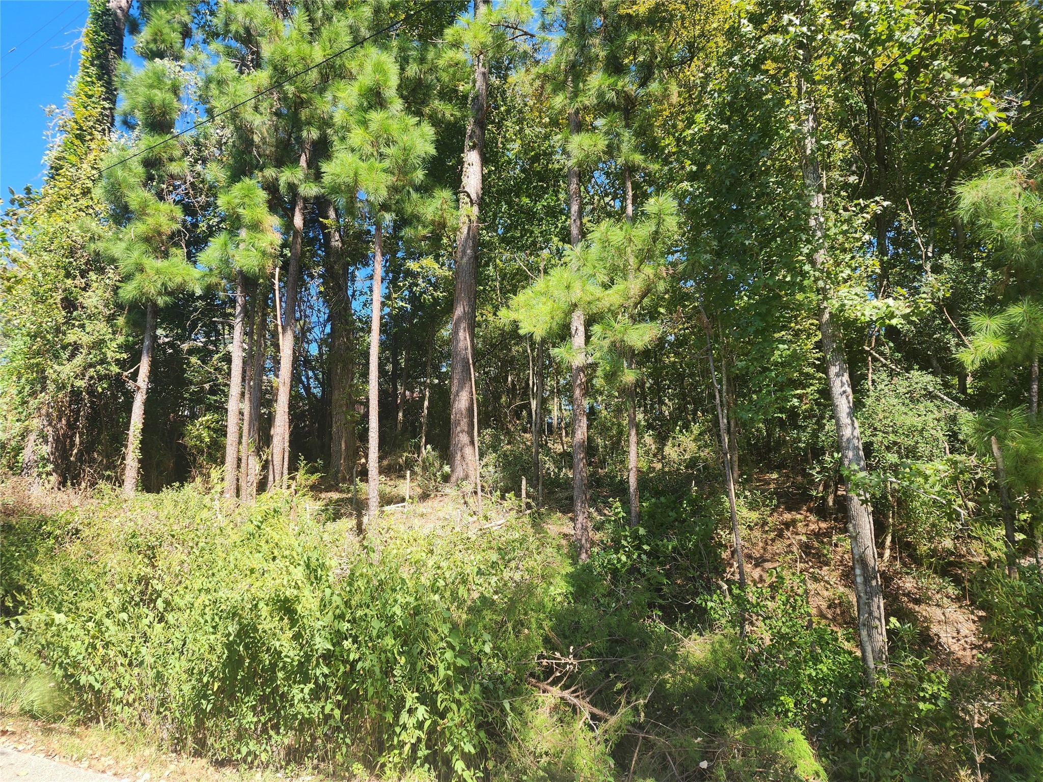0 Cedar Lane Property Photo 9
