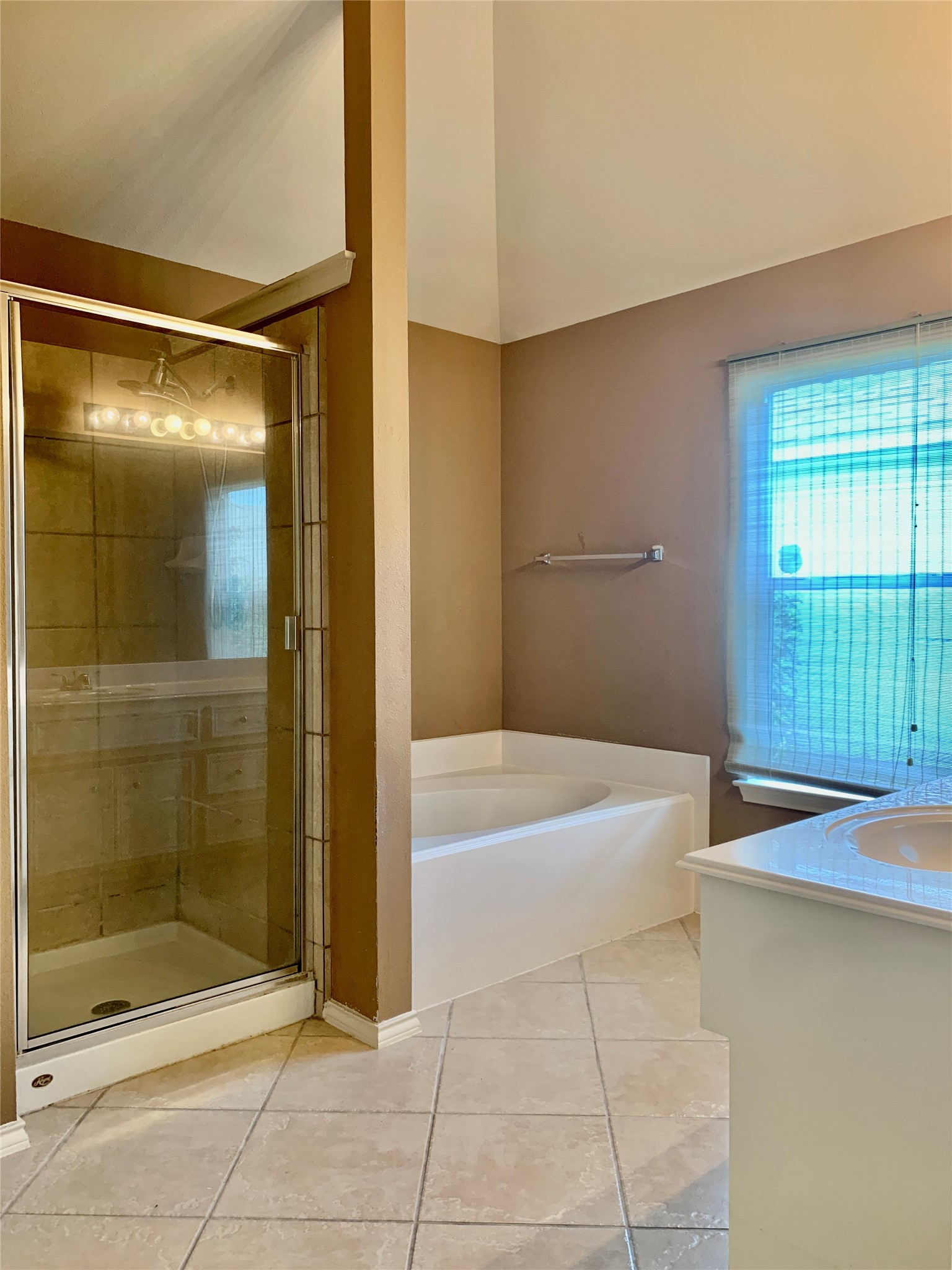 11210 Jadestone Creek Lane Property Photo 13