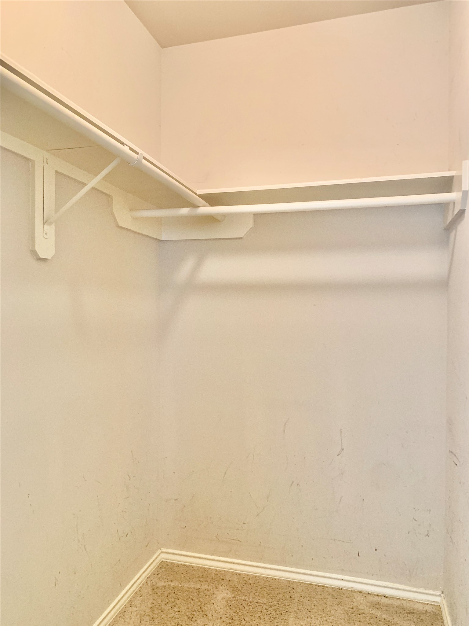 11210 Jadestone Creek Lane Property Photo 16
