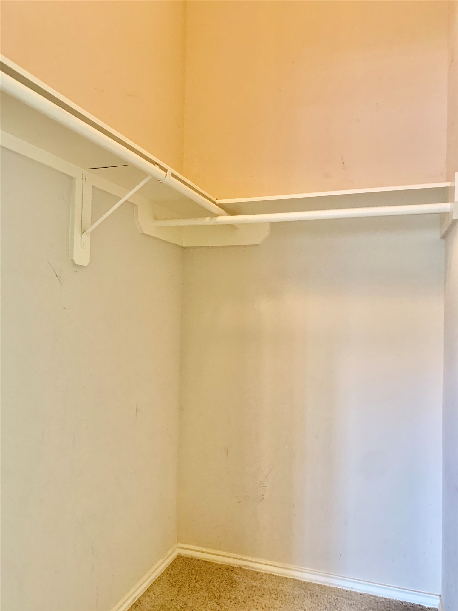 11210 Jadestone Creek Lane Property Photo 18