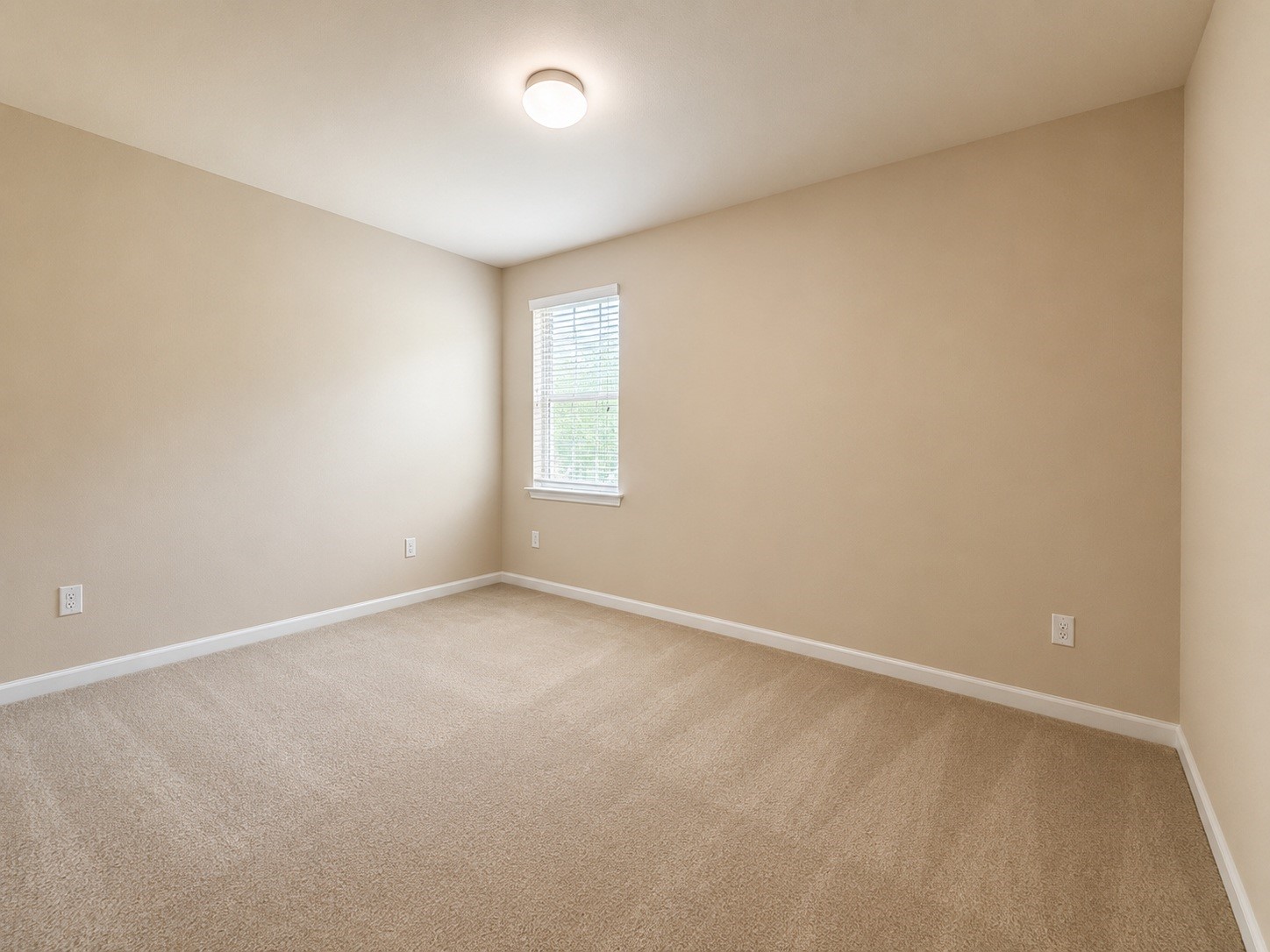 13707 Contour Court Property Photo 18