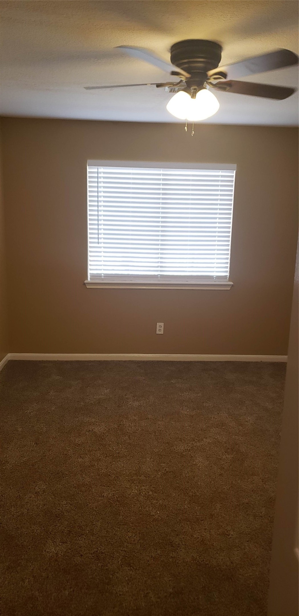 222 Canterbury Drive Property Photo 9