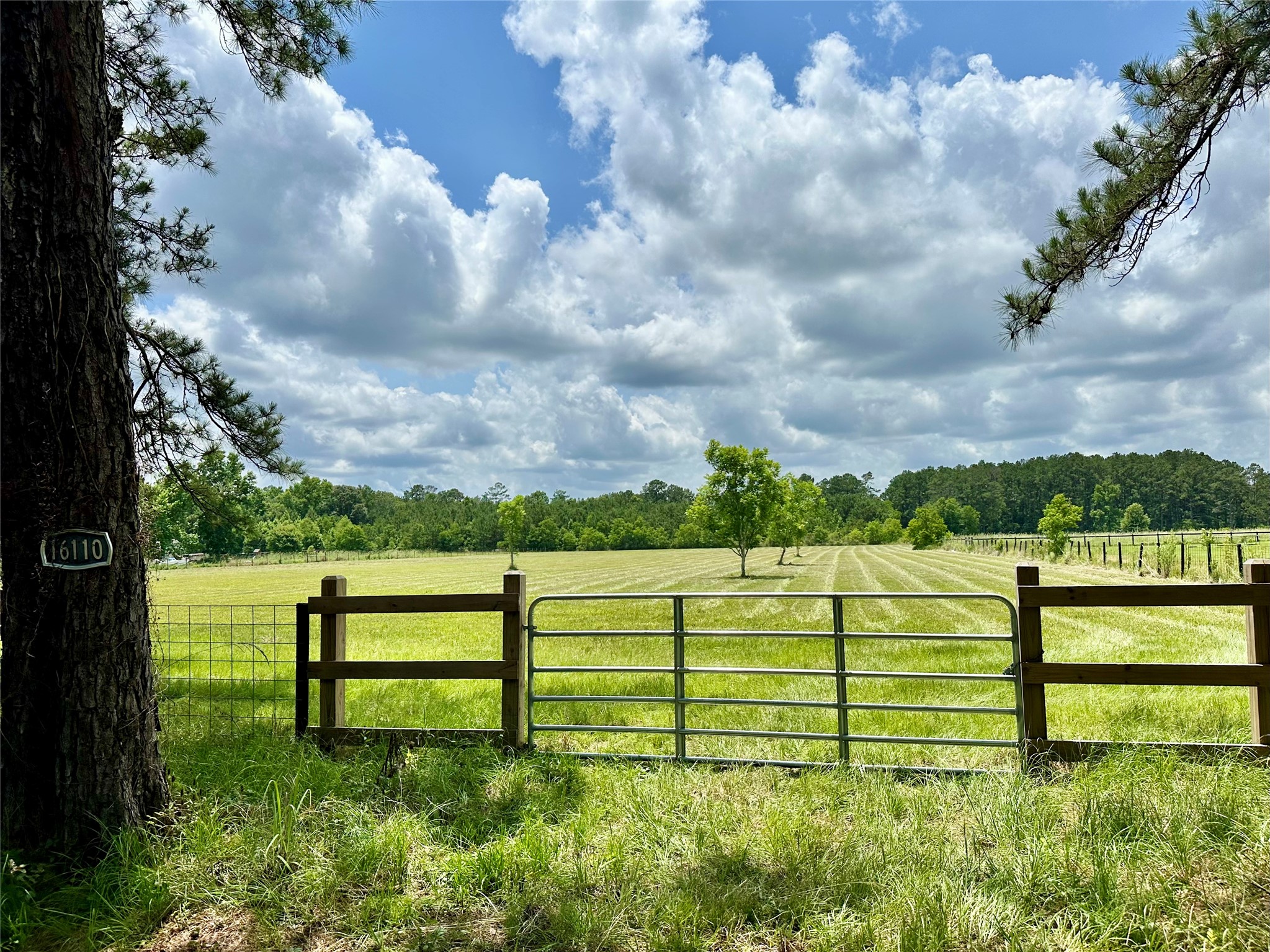 16110 G W Jones Sr Rd Road