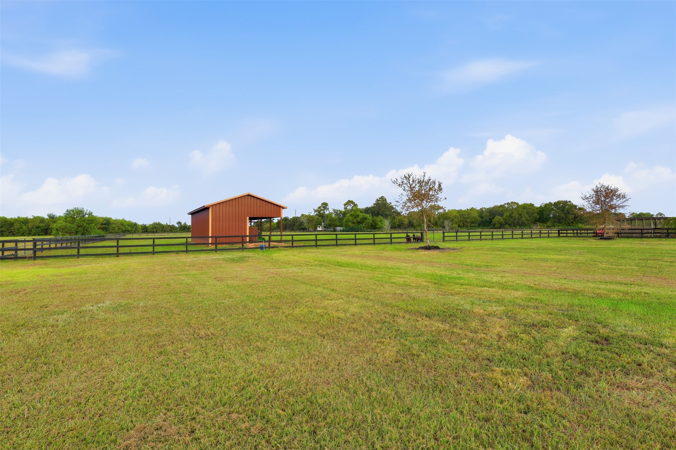 8801 County Road 79 Property Photo 33