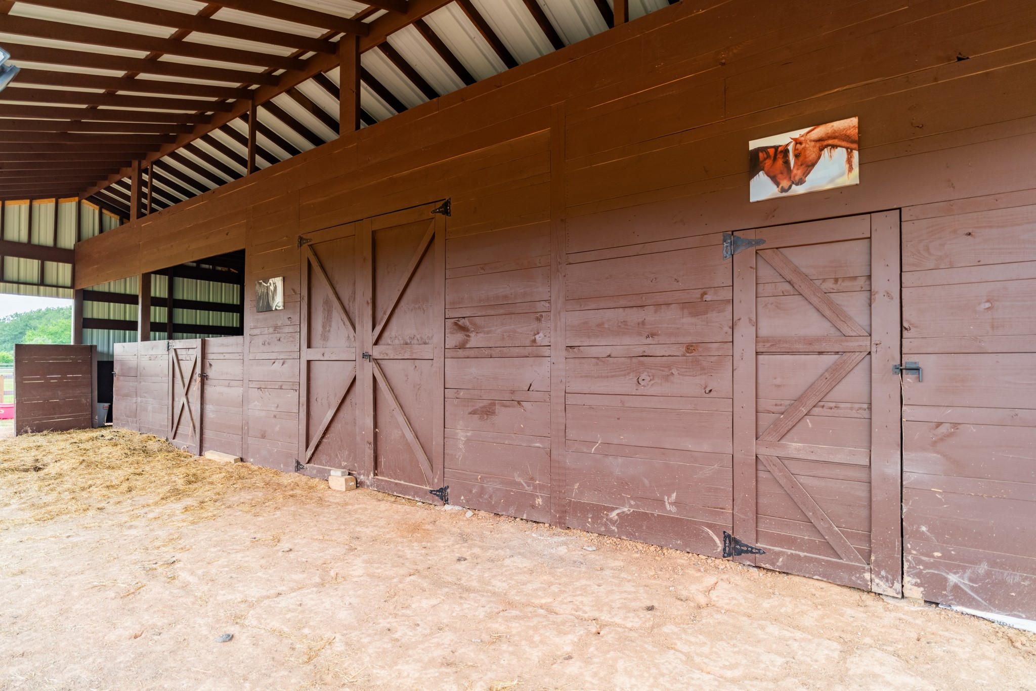 8801 County Road 79 Property Photo 45