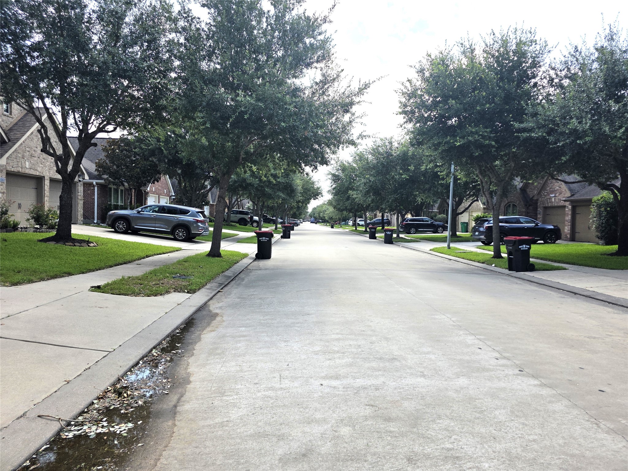 26318 Serenity Oaks Drive Property Photo 41