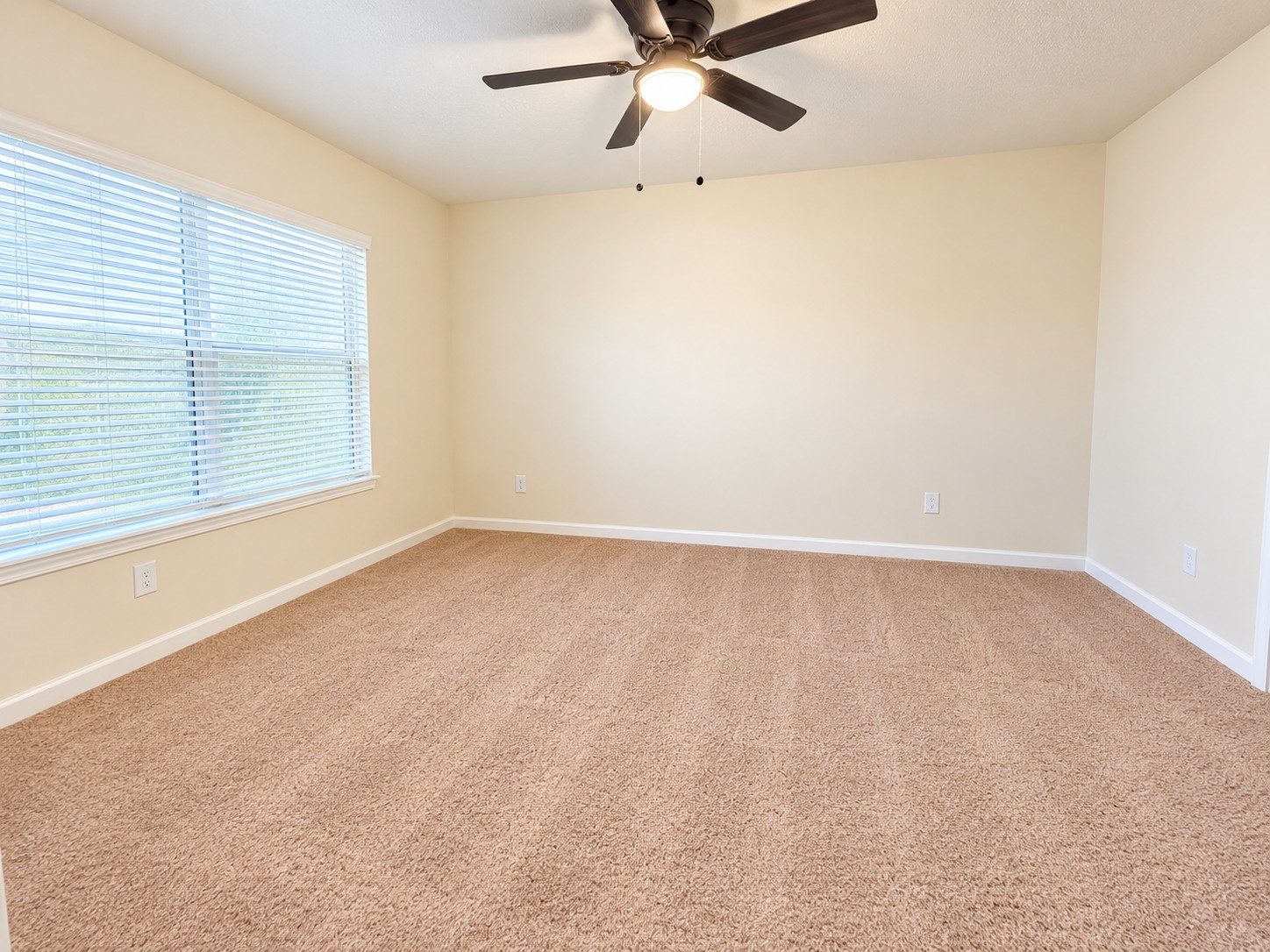 2120 Mule Ridge Drive Property Photo 12