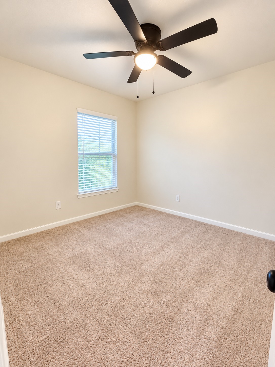 2120 Mule Ridge Drive Property Photo 15