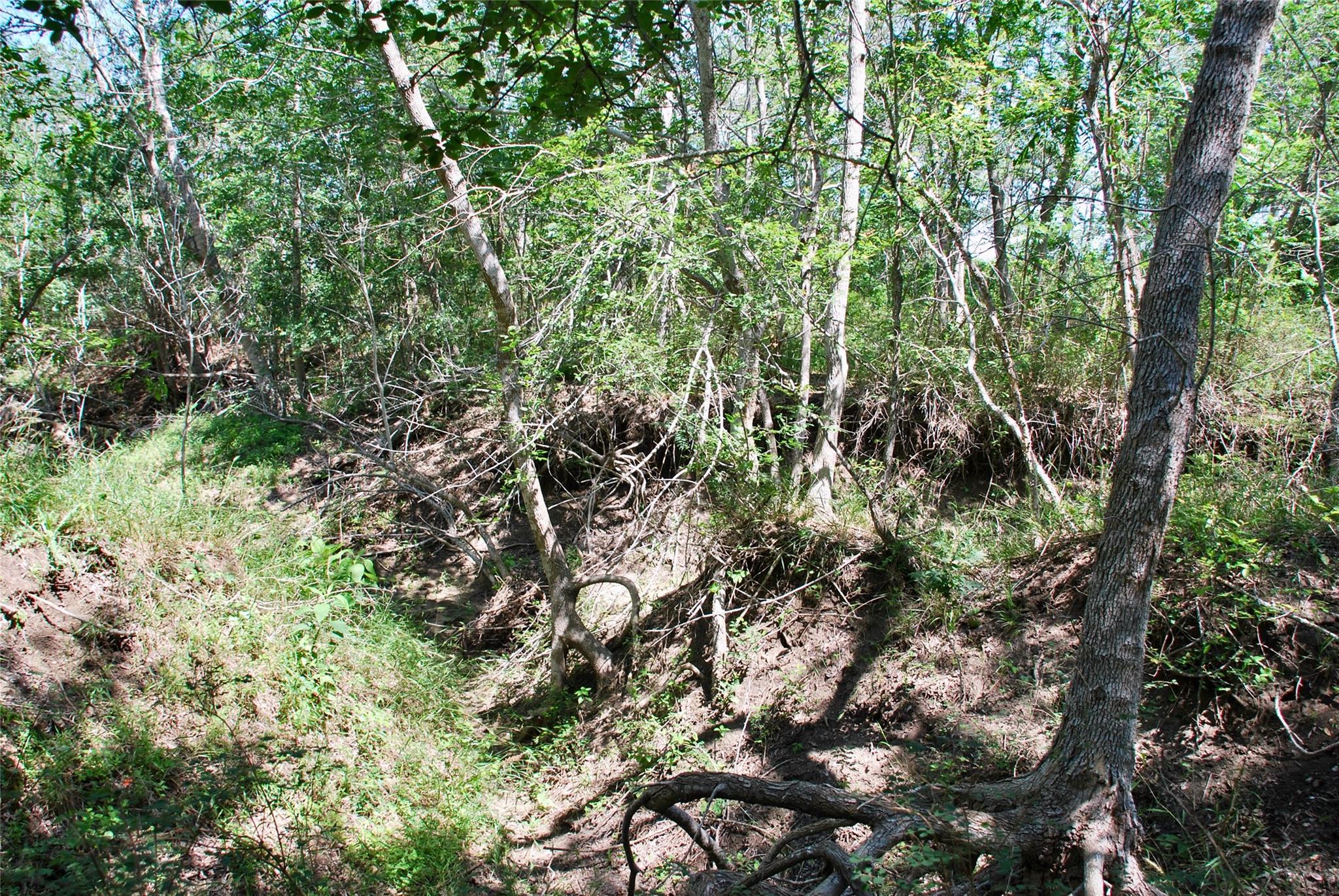 1049 Muehr Road, Weimar Tx 78962 Property Photo 13