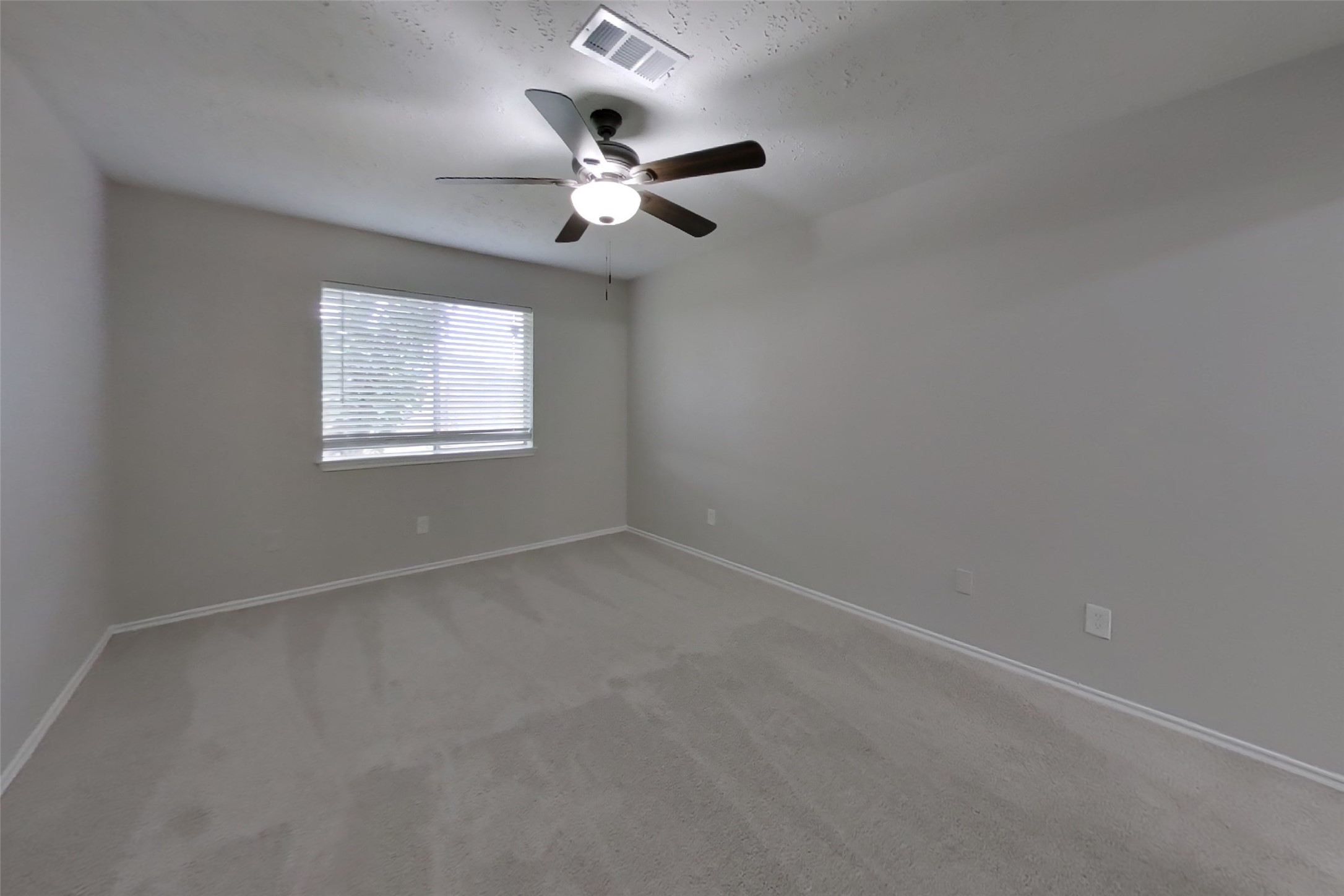 13031 Bamboo Forest Trail Property Photo 6