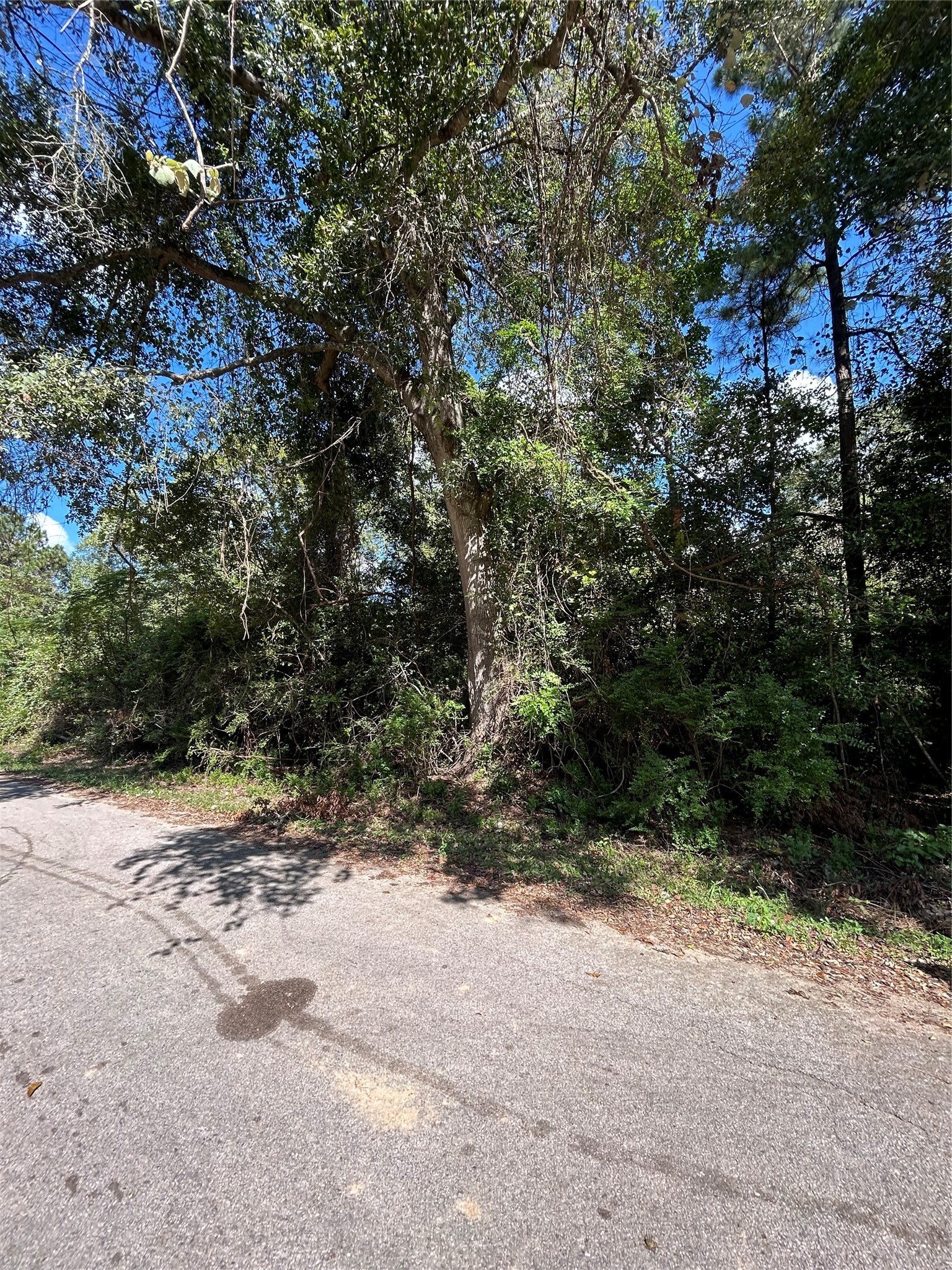 0 Myrtie Dr Property Photo 1
