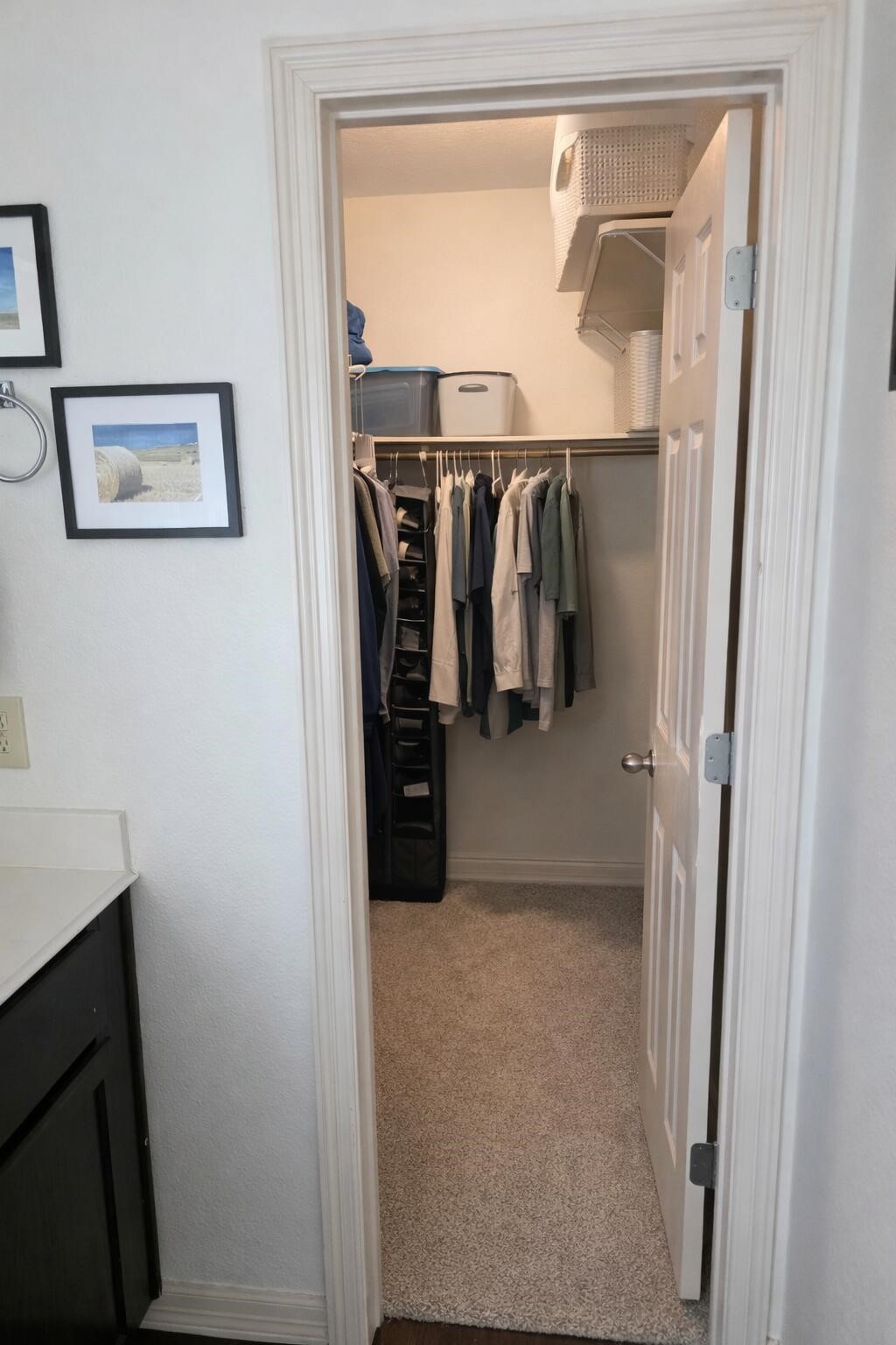 300 Pine Mist Lane Property Photo 10