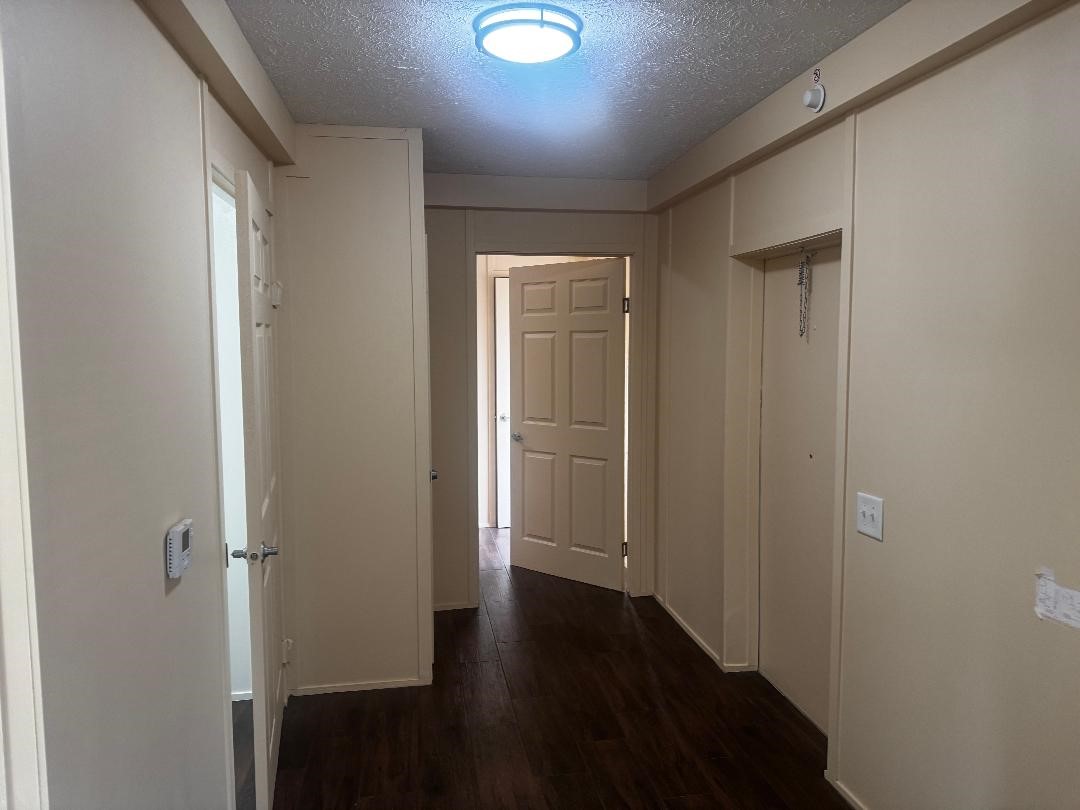 13929 Eagle Pass Street Property Photo 6