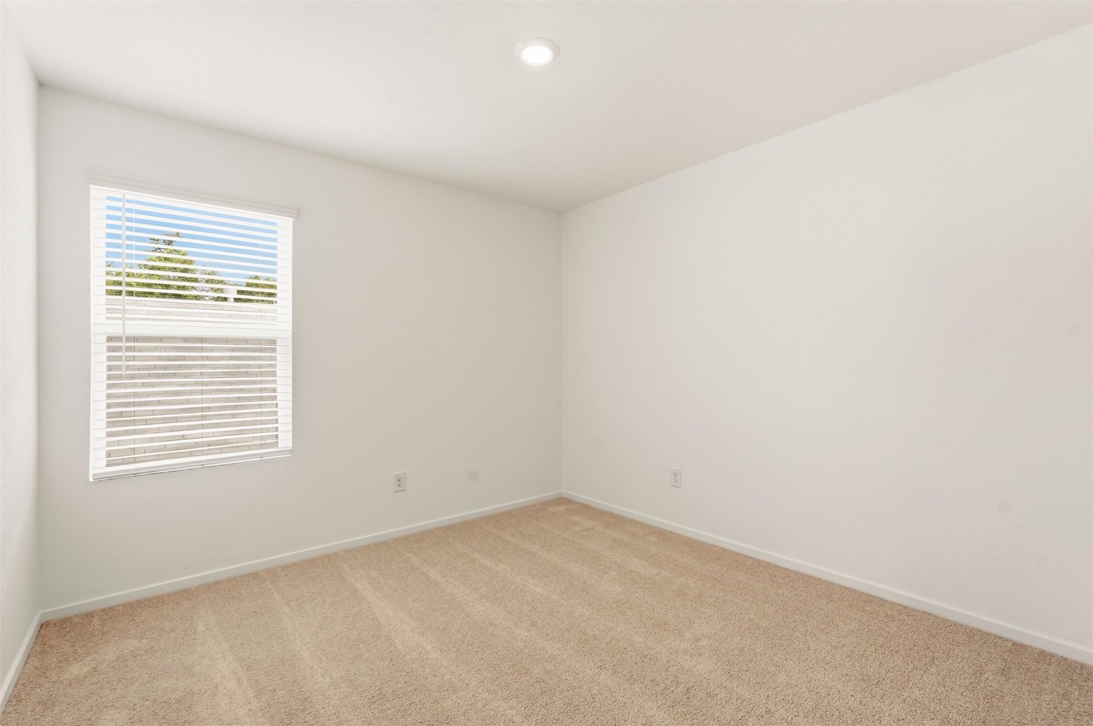 6034 Ash Willow Court Property Photo 19