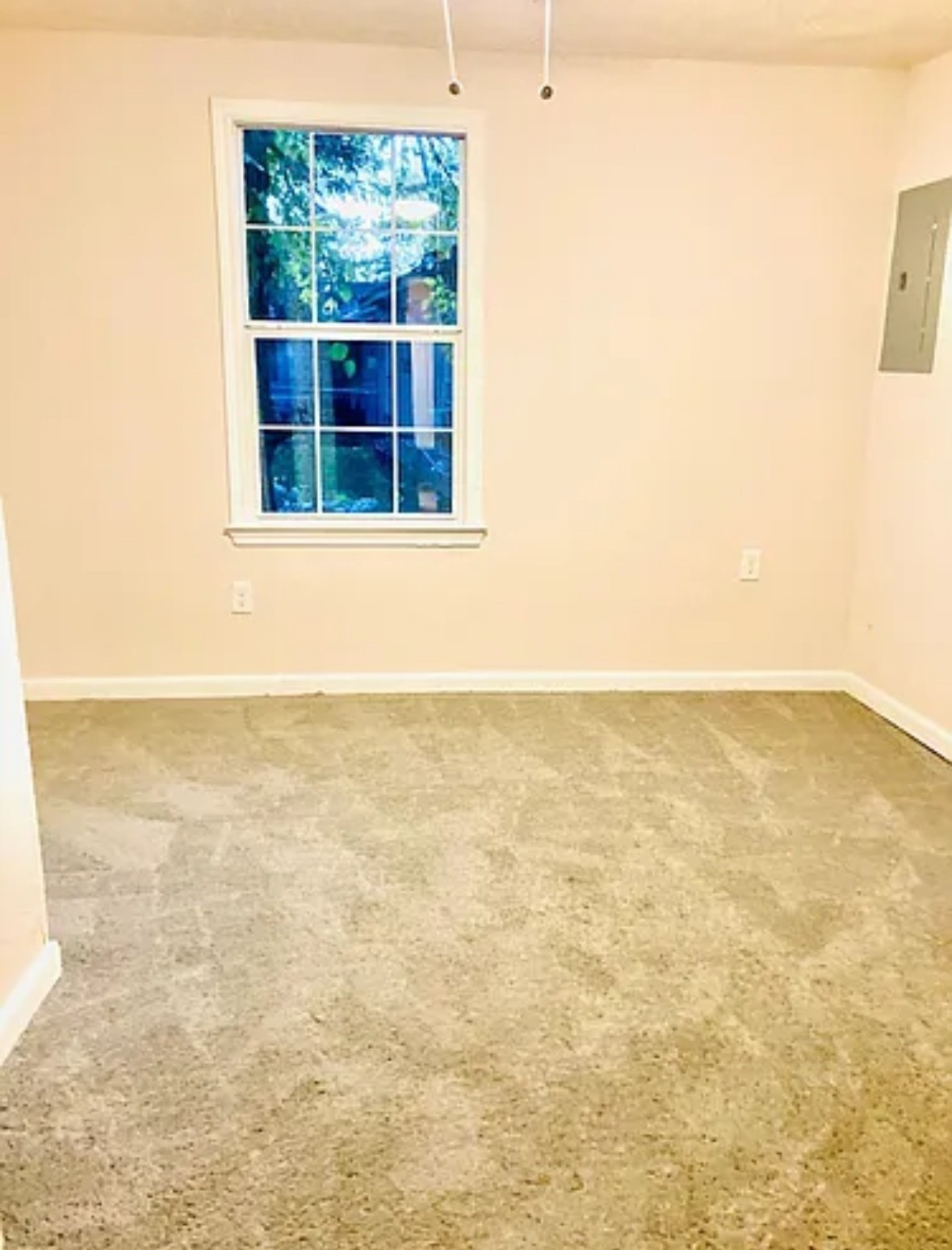 7339 Mountbatten Road Property Photo 7