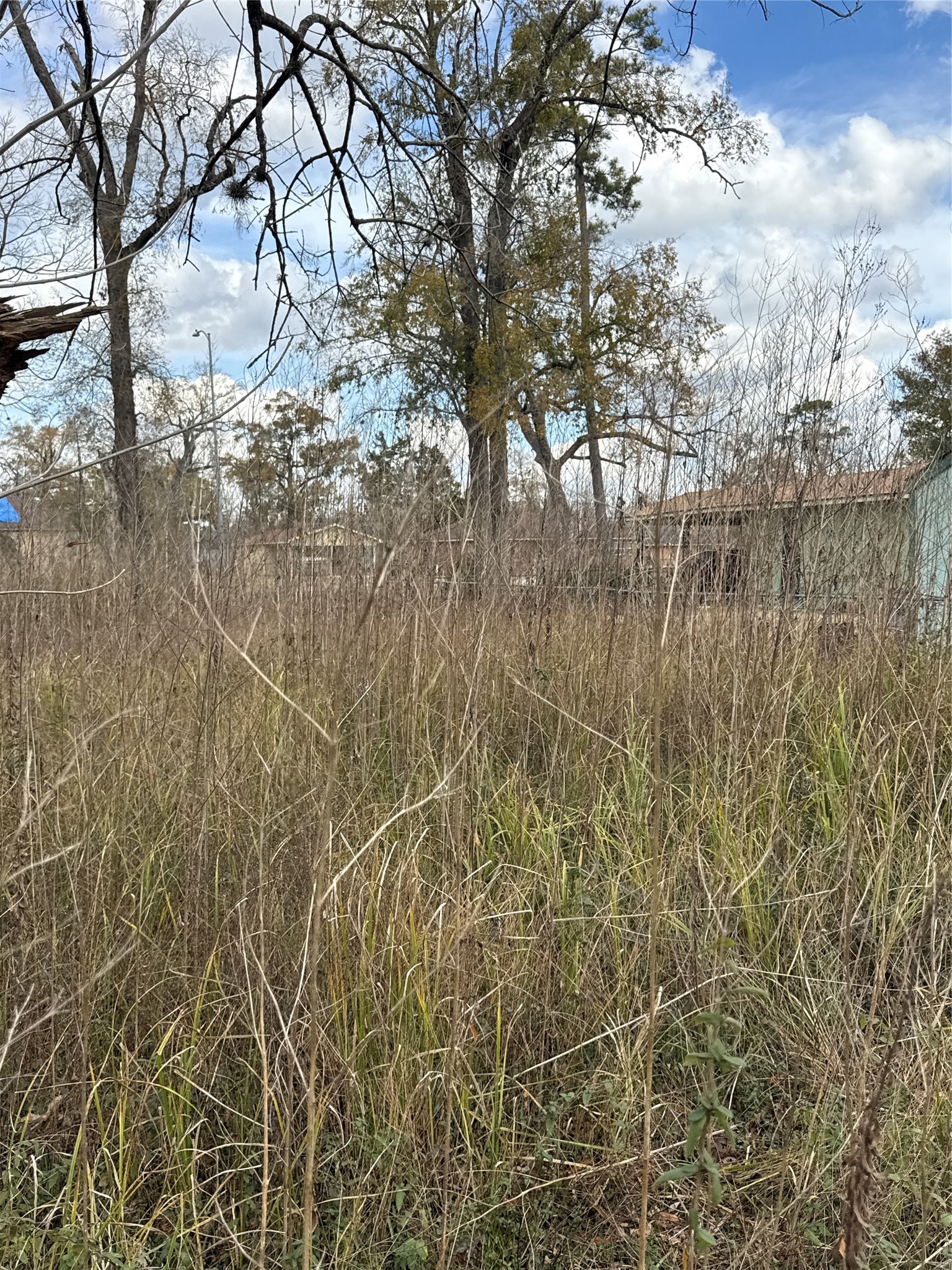8538 Homewood Lane Property Photo 4