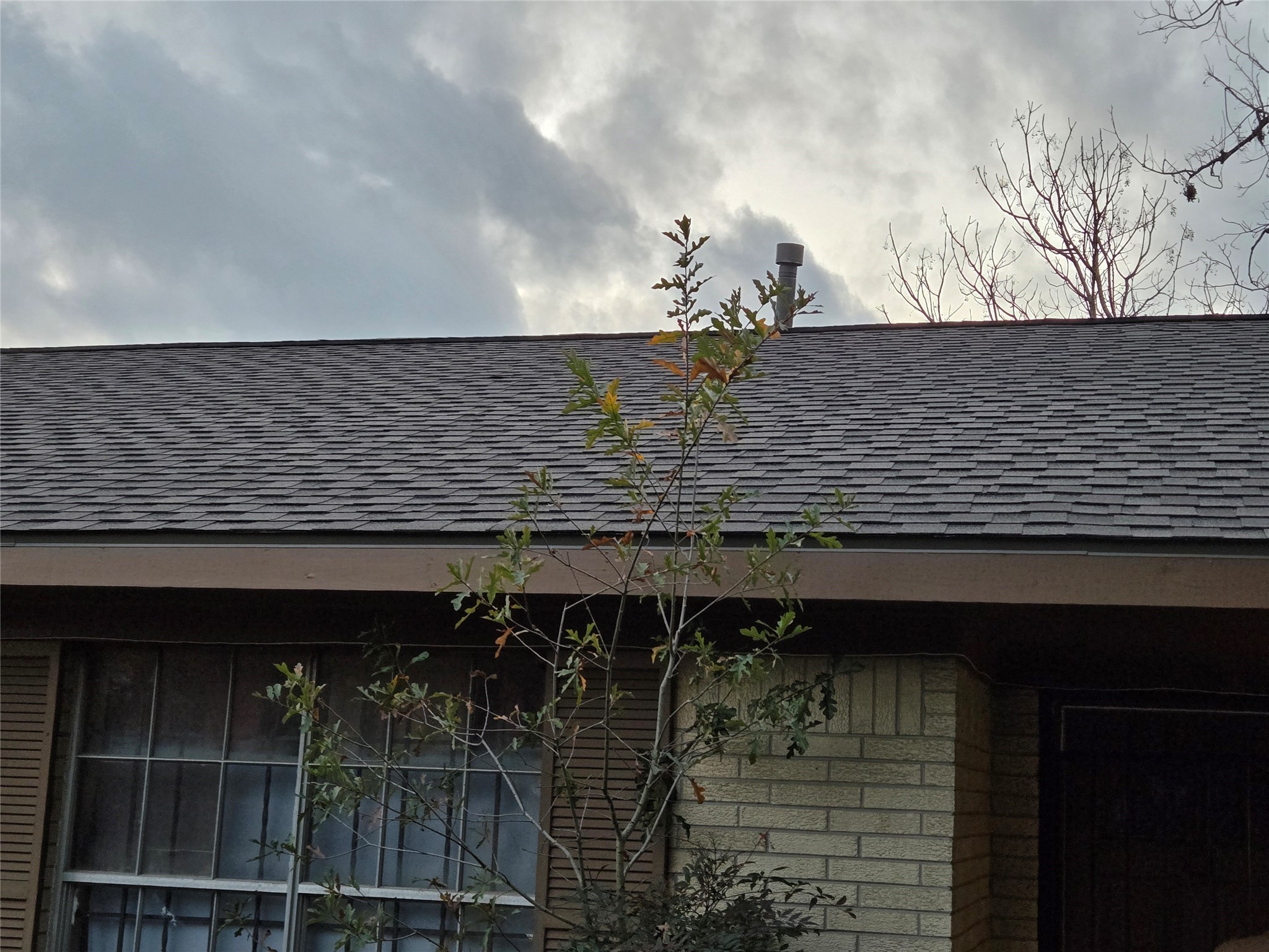 9411 Lomax Street Property Photo 6