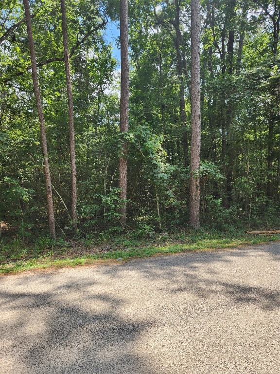 Tbd County Road 373 Property Photo 1
