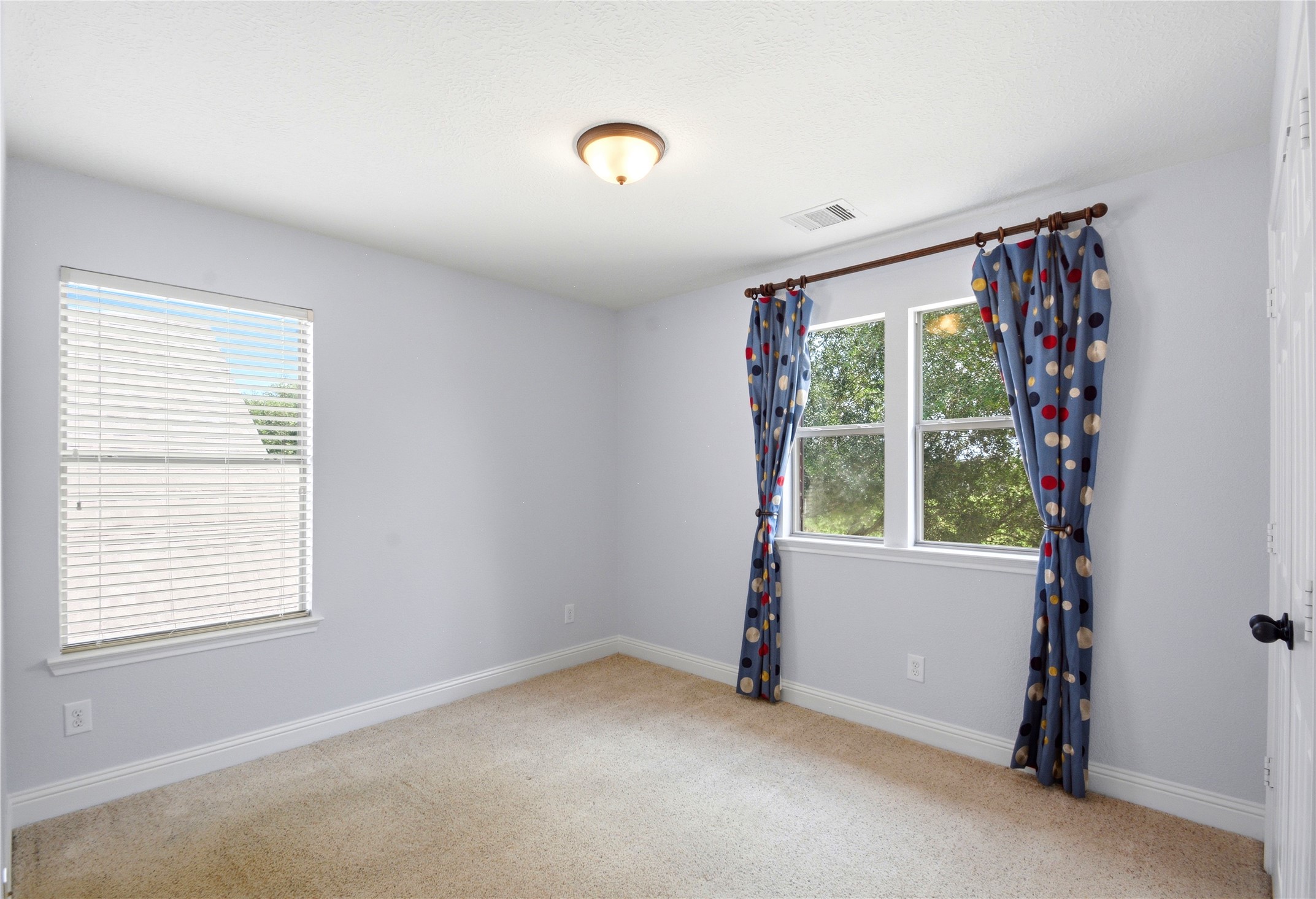 11119 Hayden Falls Drive Property Photo 19