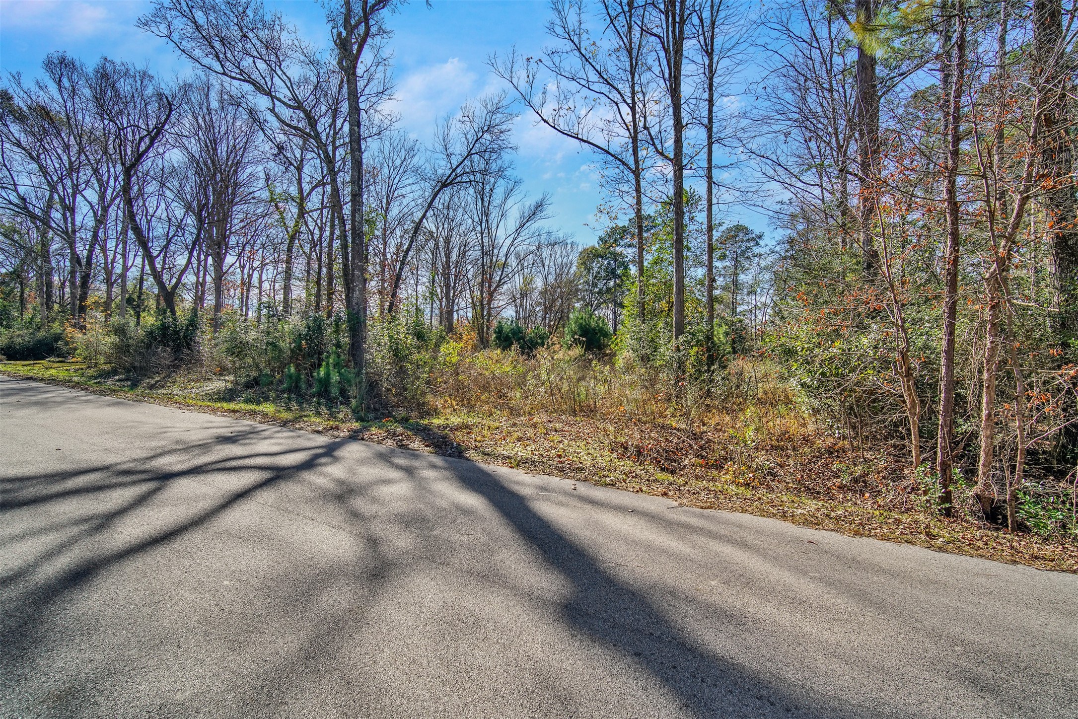 10884 Champion Village Drive Property Photo 1