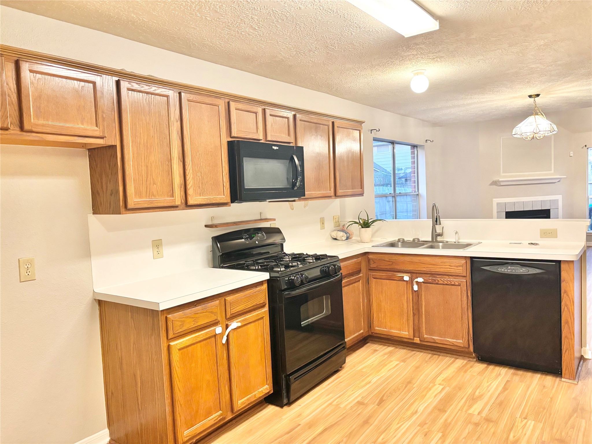 15919 Blue Mesa Ridge Drive Property Photo 9
