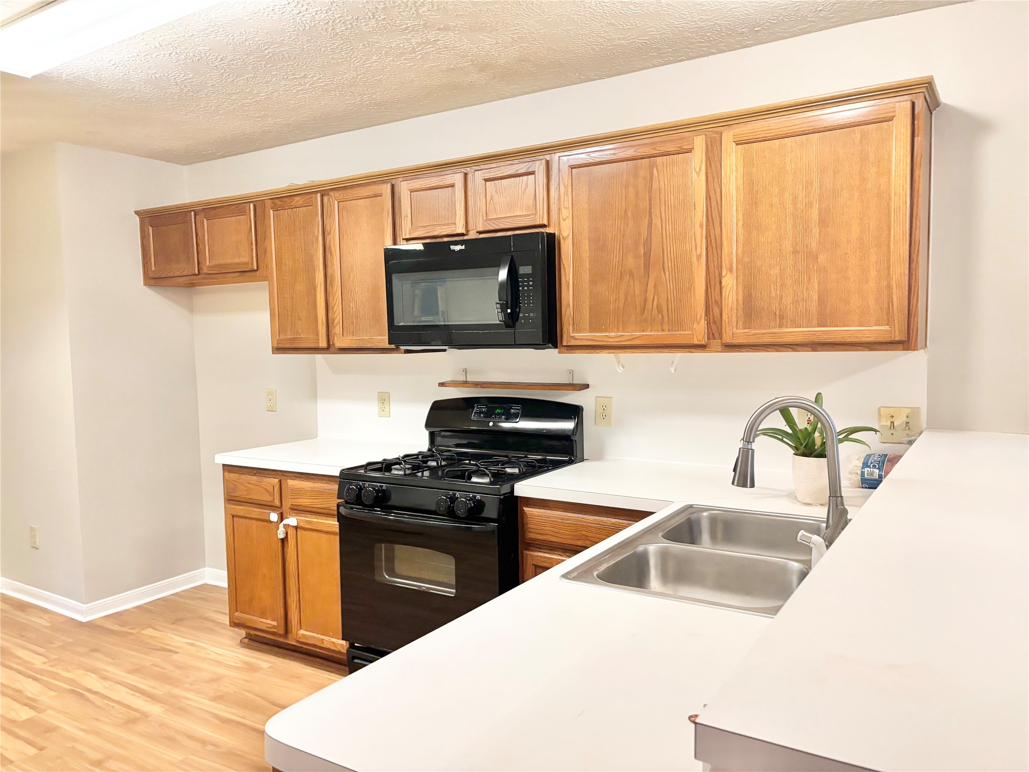 15919 Blue Mesa Ridge Drive Property Photo 10