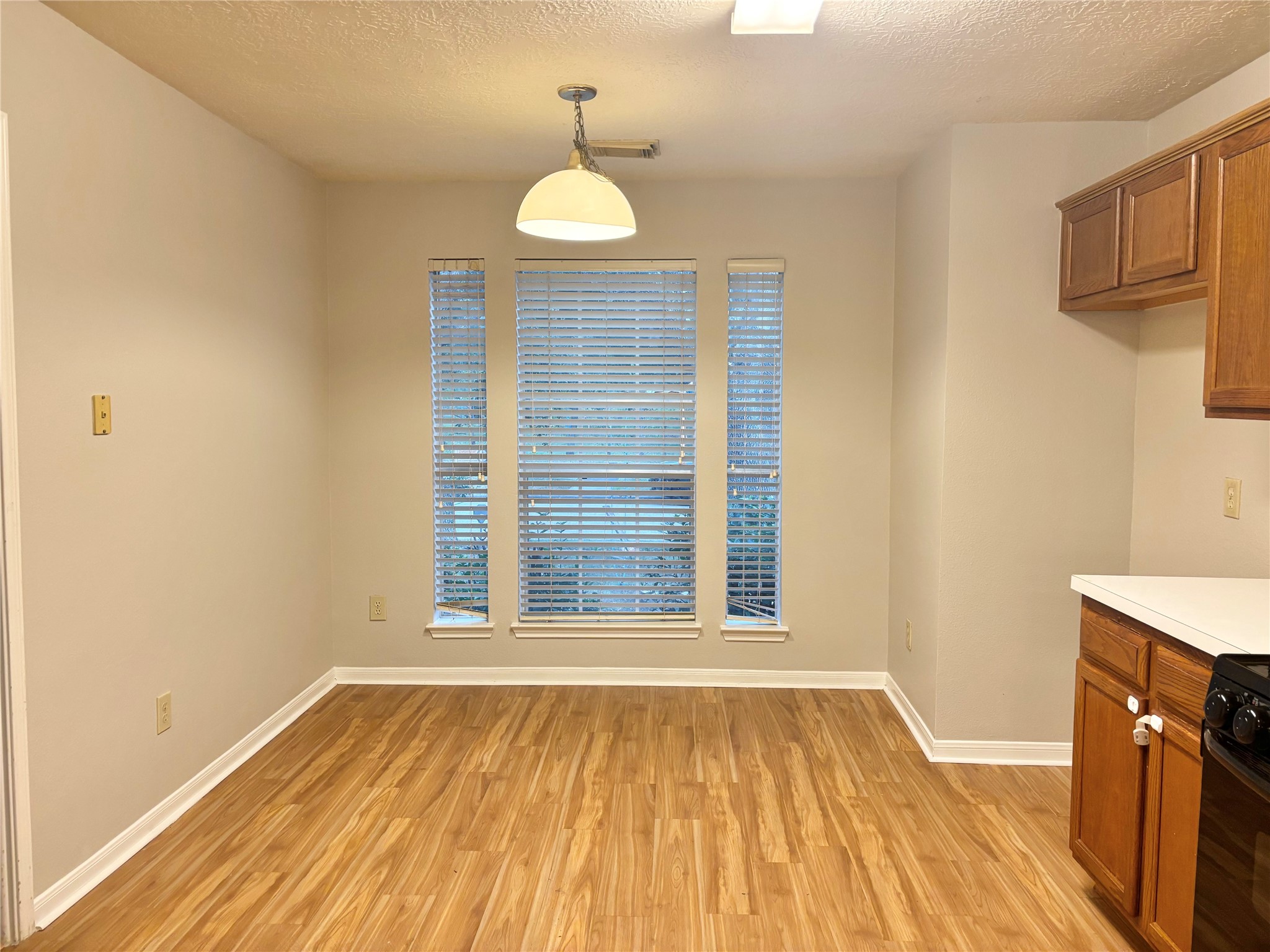 15919 Blue Mesa Ridge Drive Property Photo 12