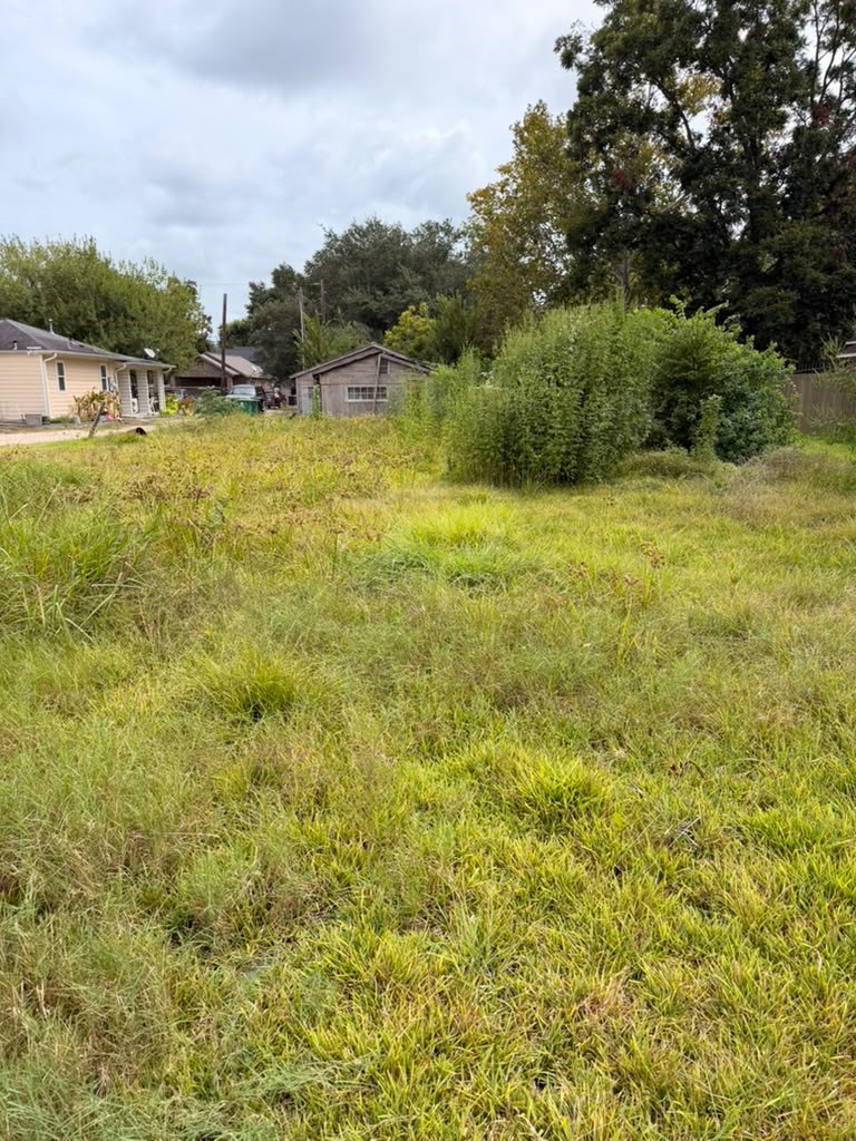 9511 Irby Street Property Photo 3