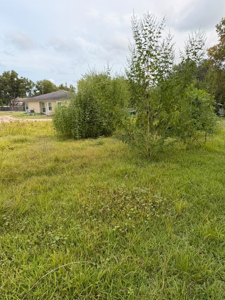 9511 Irby Street Property Photo 6