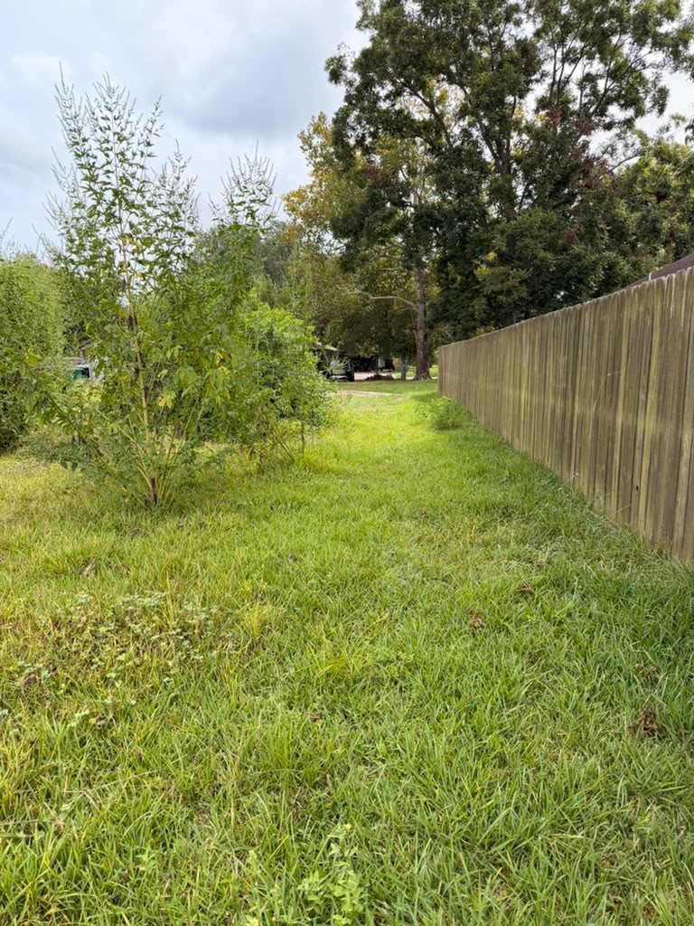 9511 Irby Street Property Photo 7
