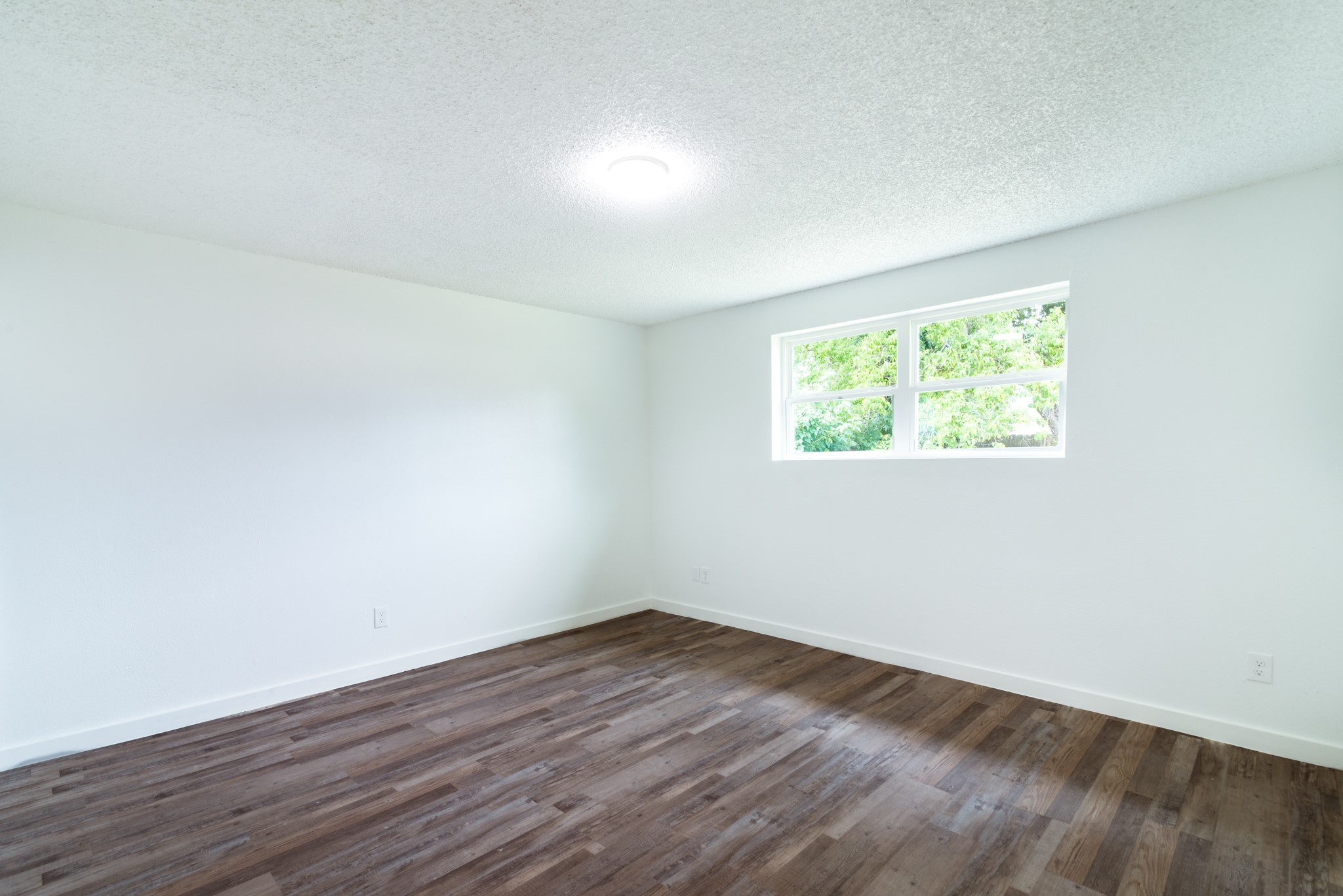 15910 Plagens Lane Property Photo 15