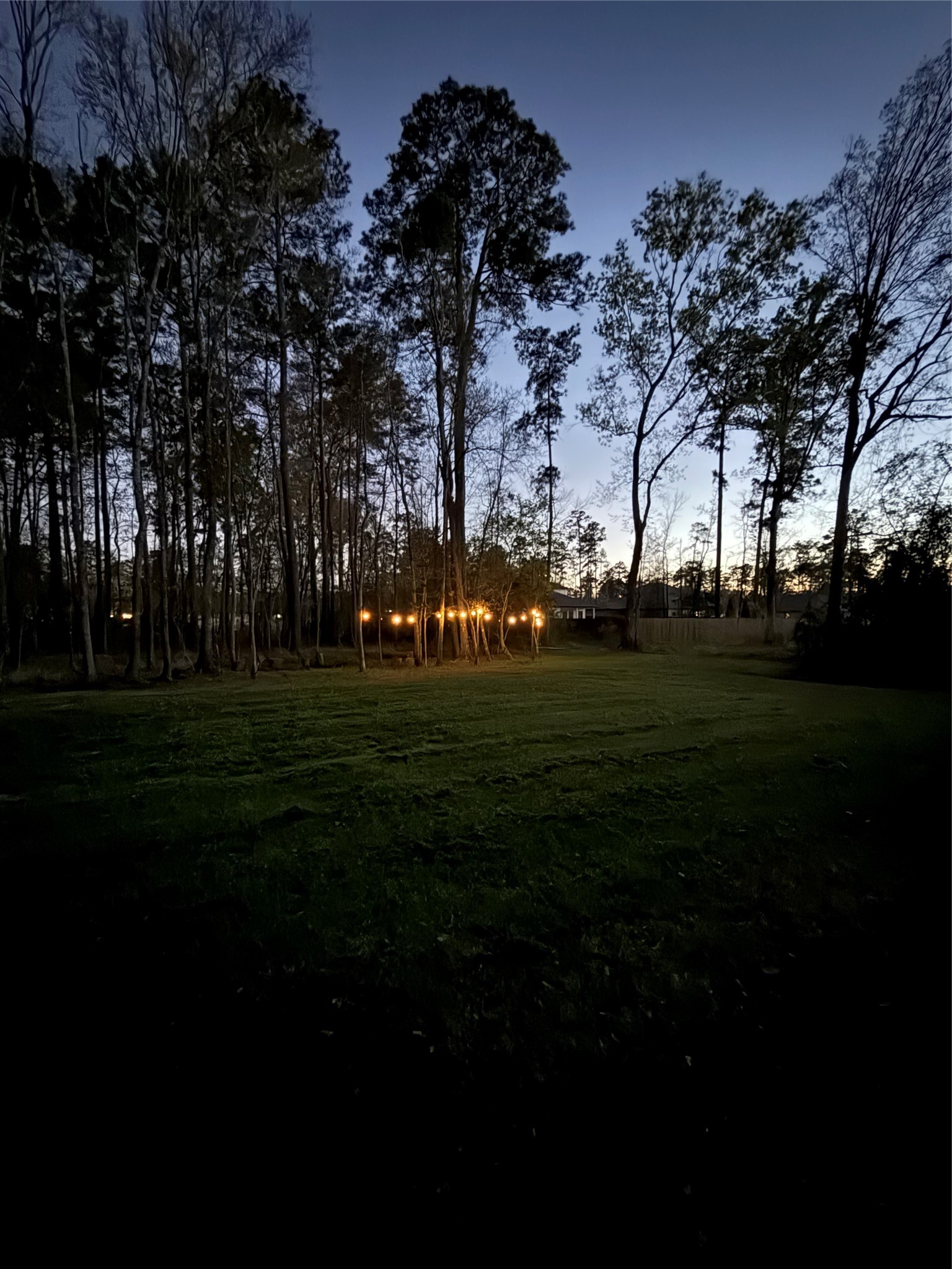 2914 Roman Forest Boulevard Property Photo 10