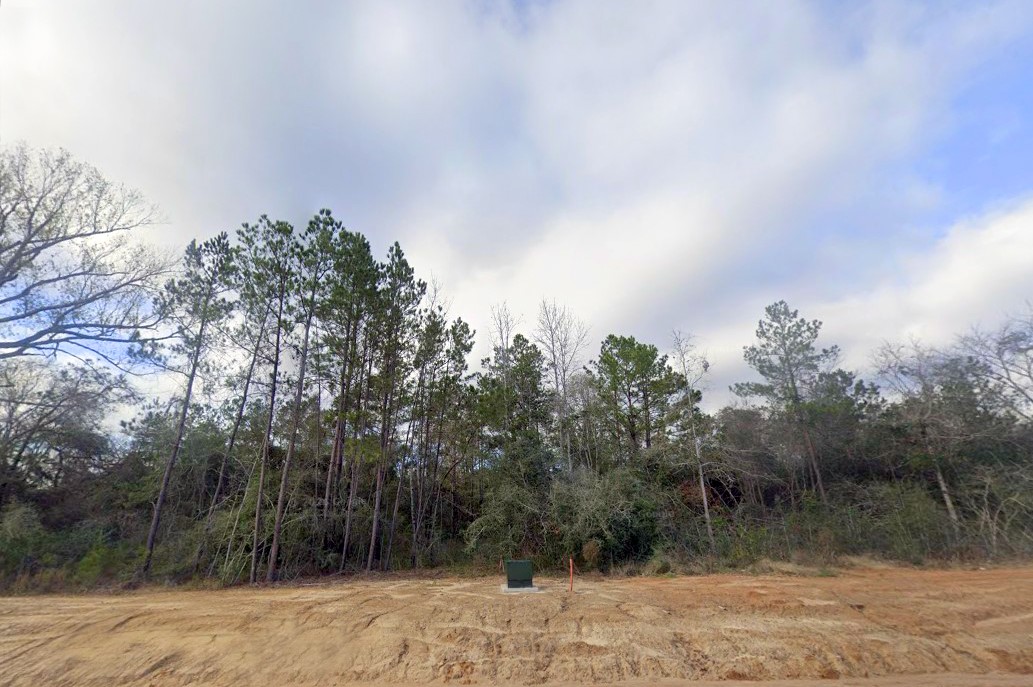11652 Grand North Road Property Photo 5